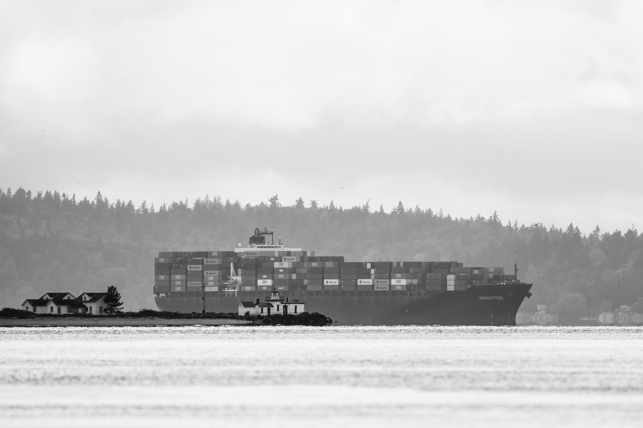 Technically there is fauna captaining the container ship