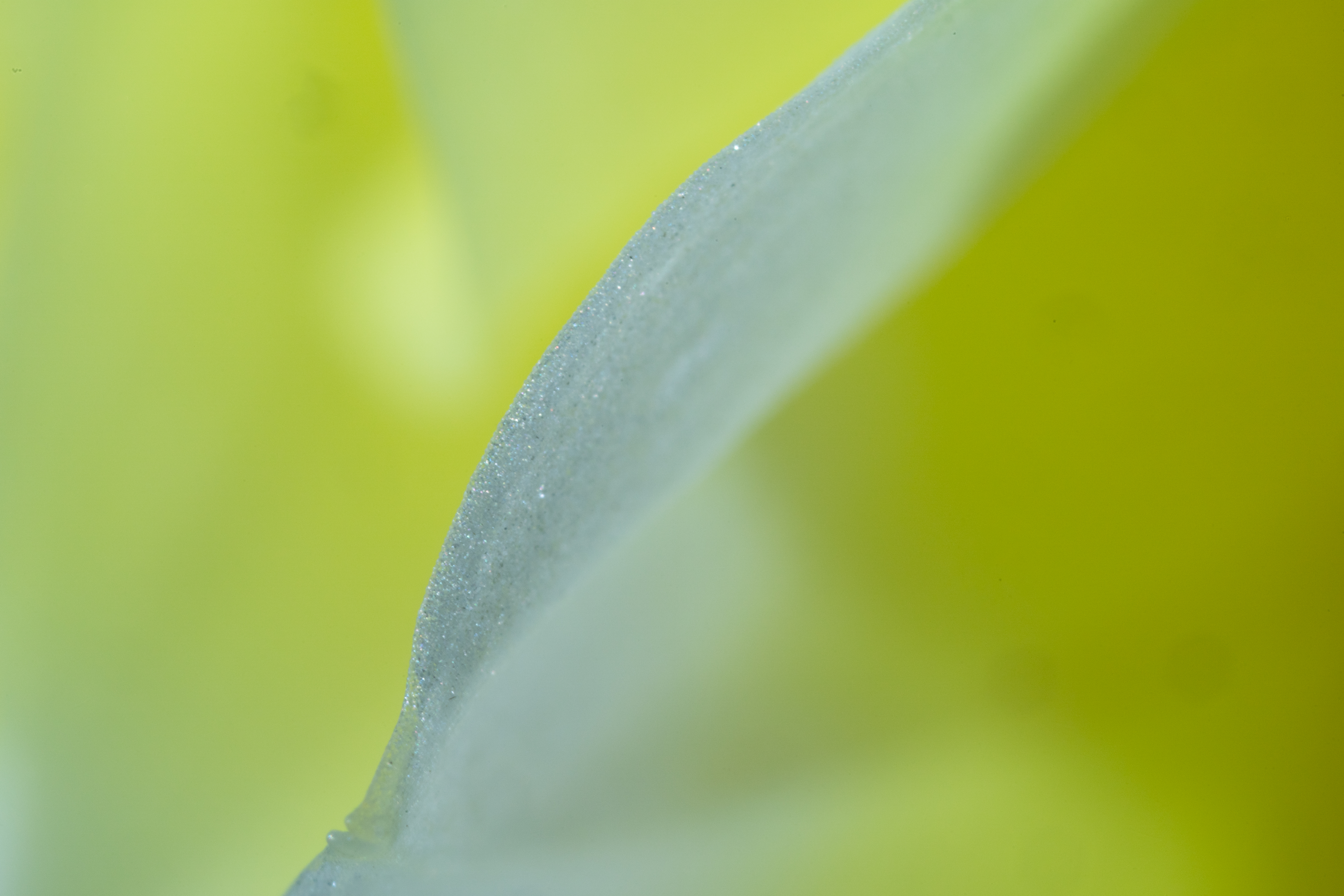 DSC02760.jpg