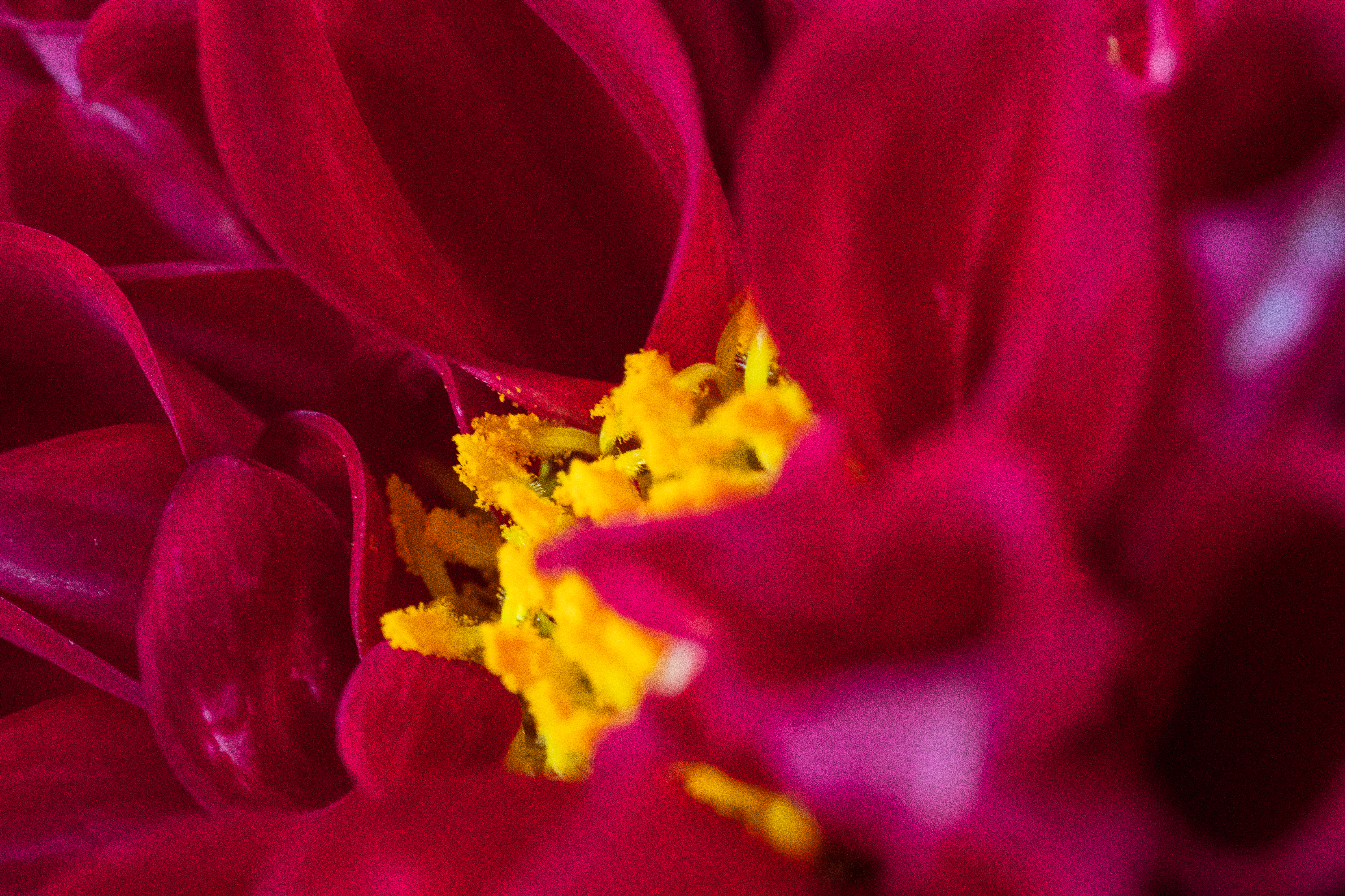 DSC02884.jpg