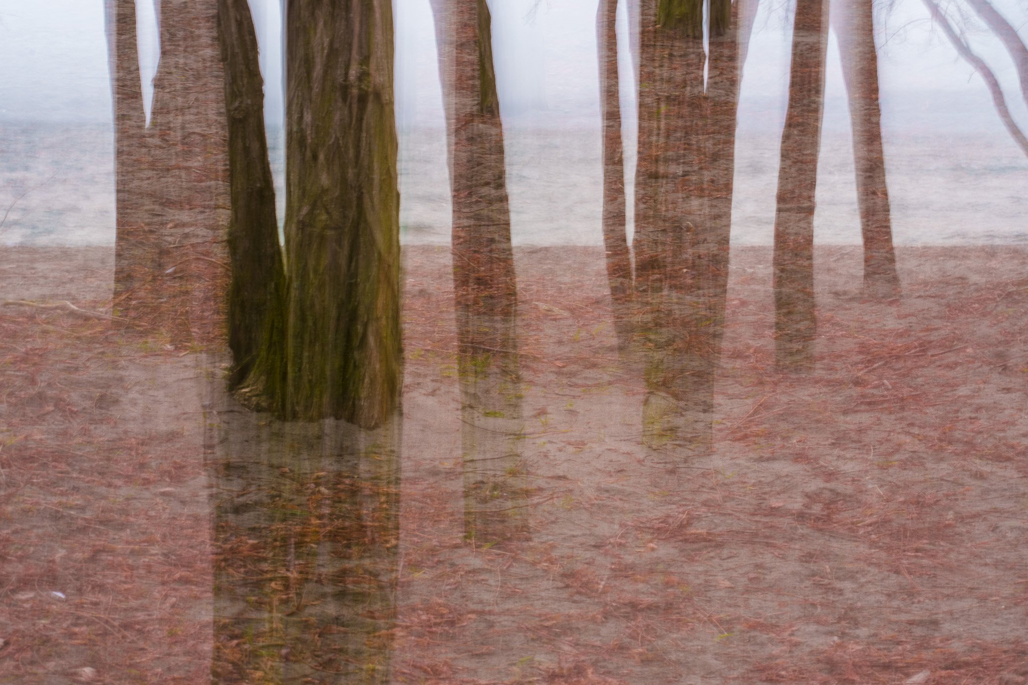 Reflections in the Water