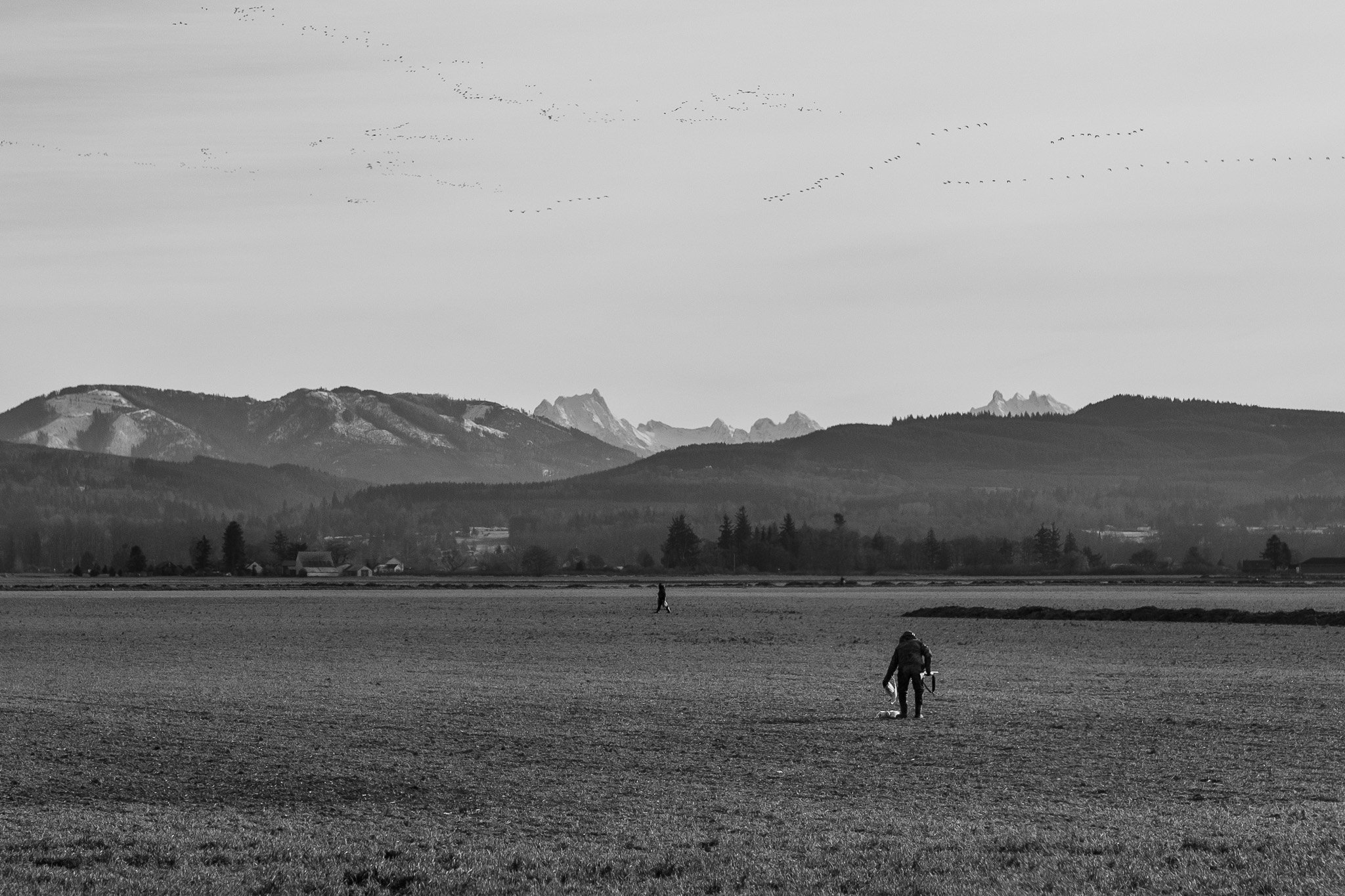 Serene Country Morning Moment