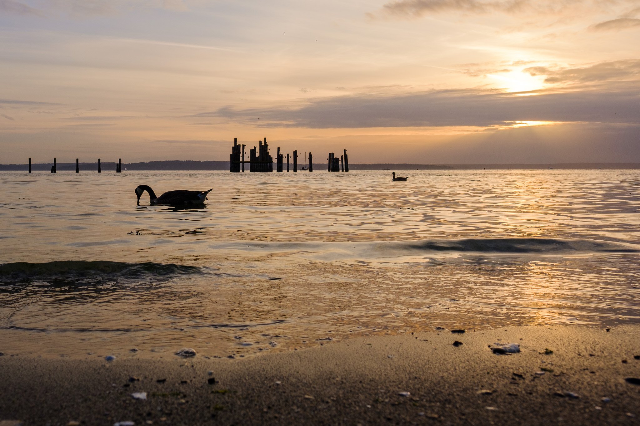 Serene Sunset on the Water