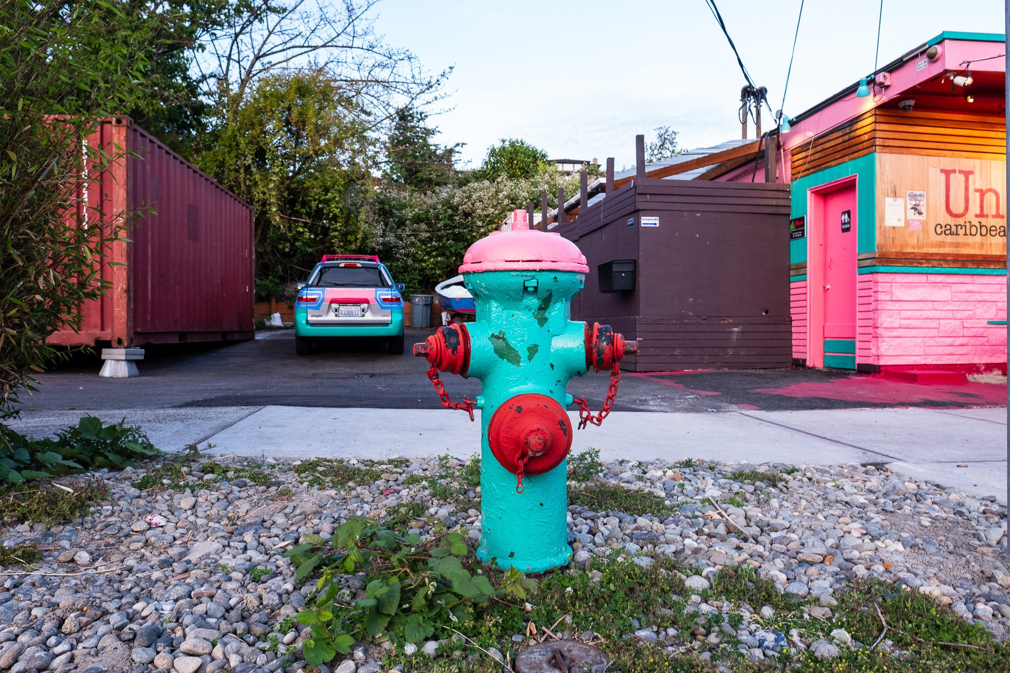 Fire Hydrant in Gray Landscape