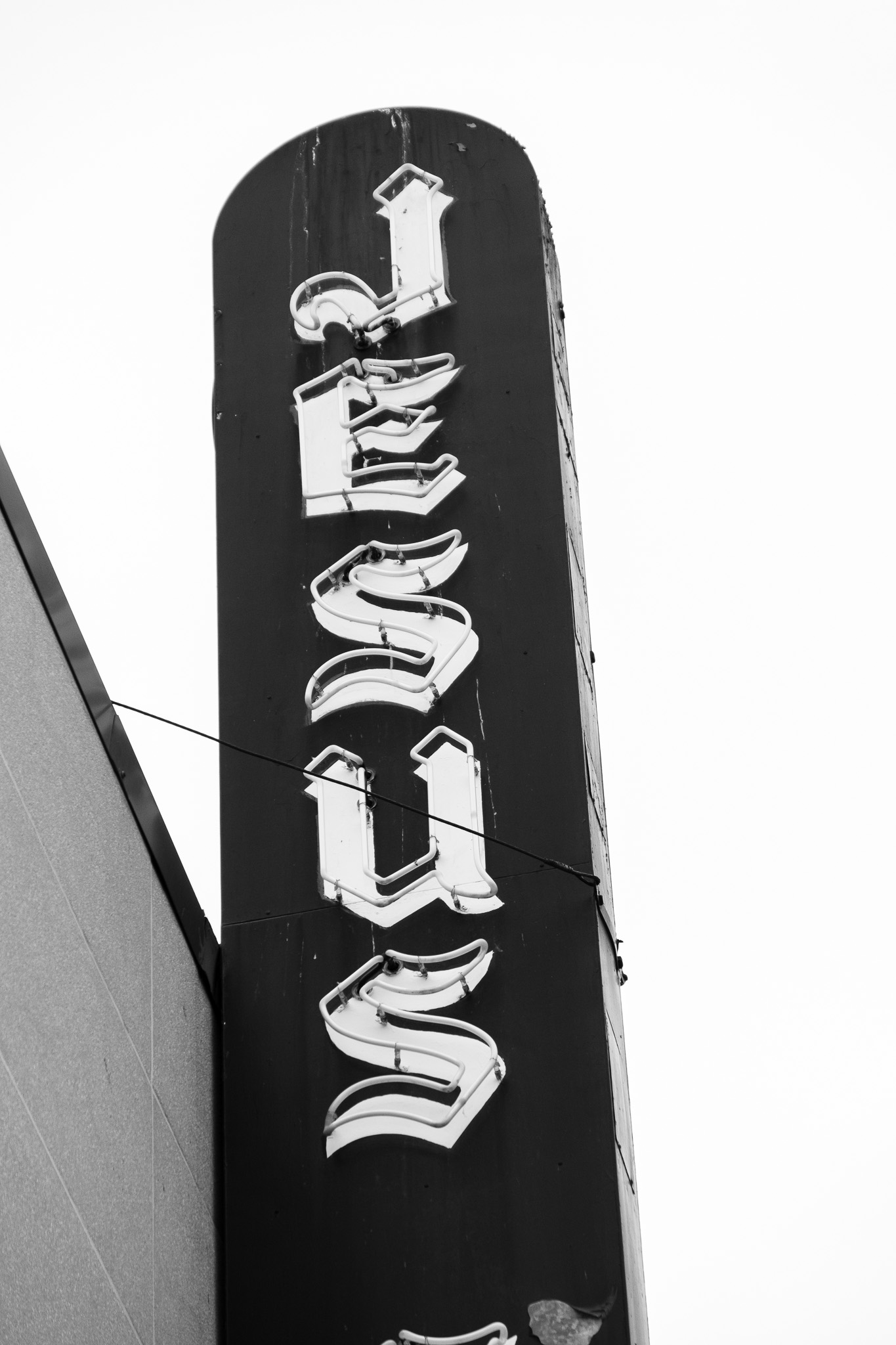 Chipped Jungle Sign