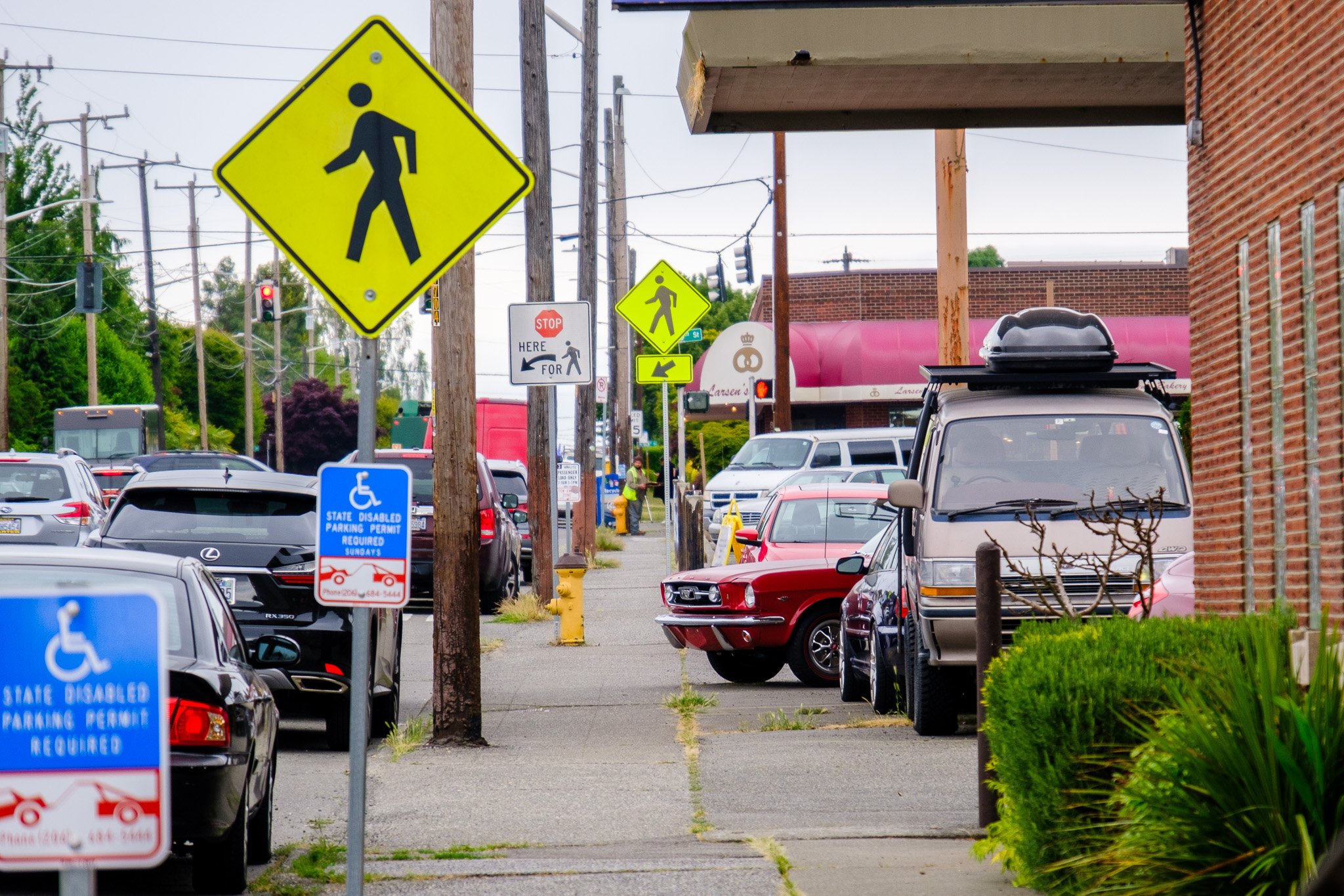 Row upon row of cars
