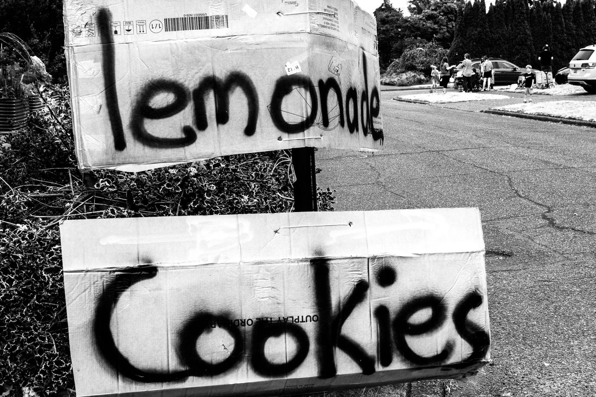 Quaint Small Town Scene