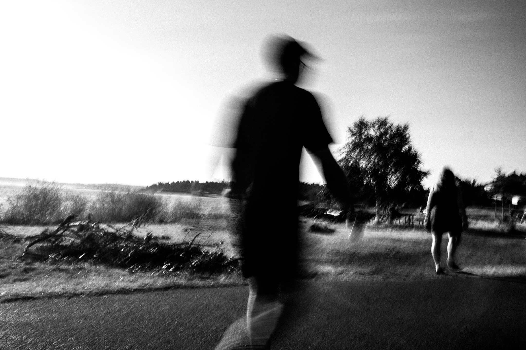 Skateboarder and Street Companion
