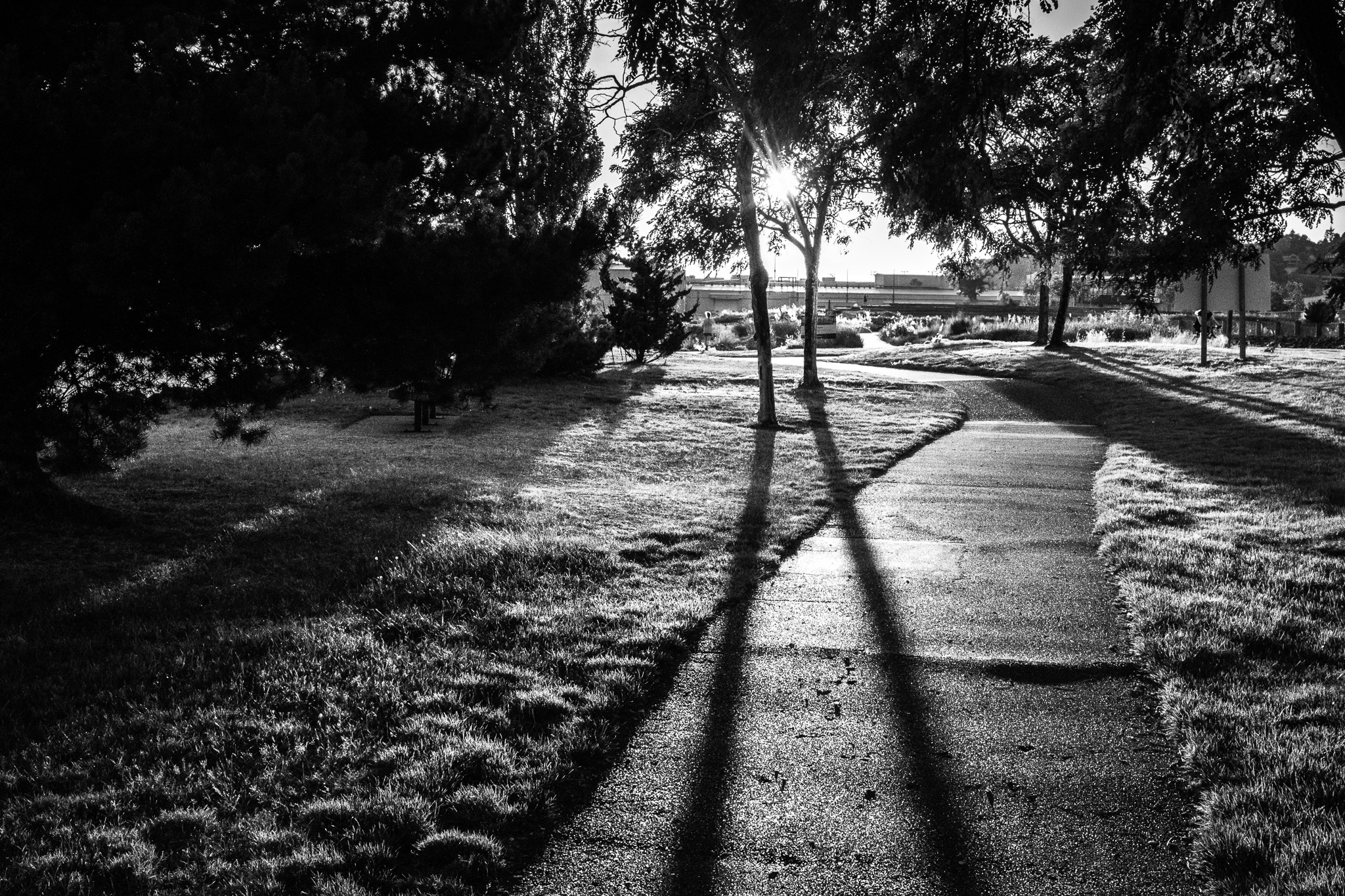 Shadows on the Sidewalk