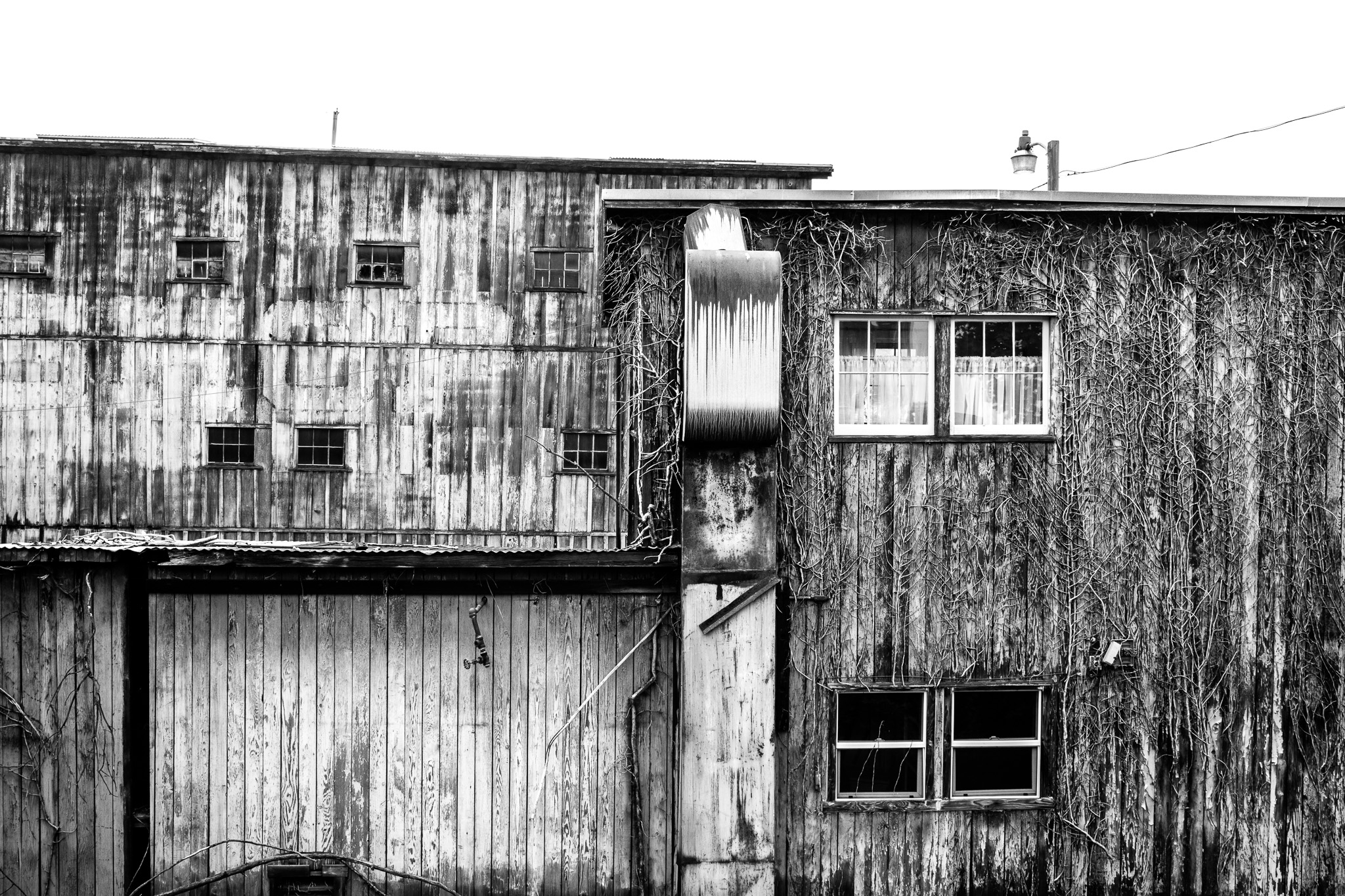 Wooden Building with Contrasting Sides