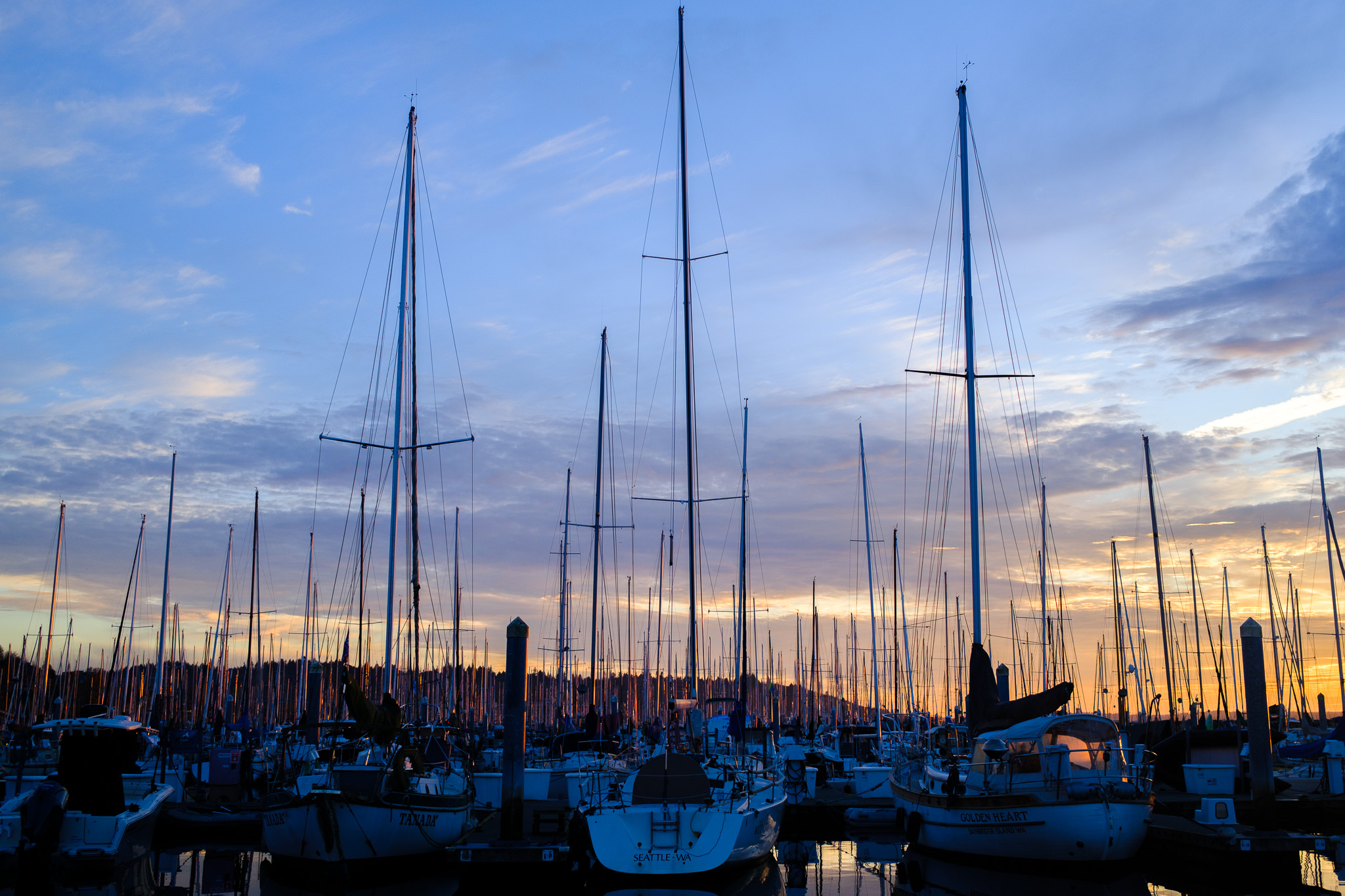 Peaceful Sunset by the Water