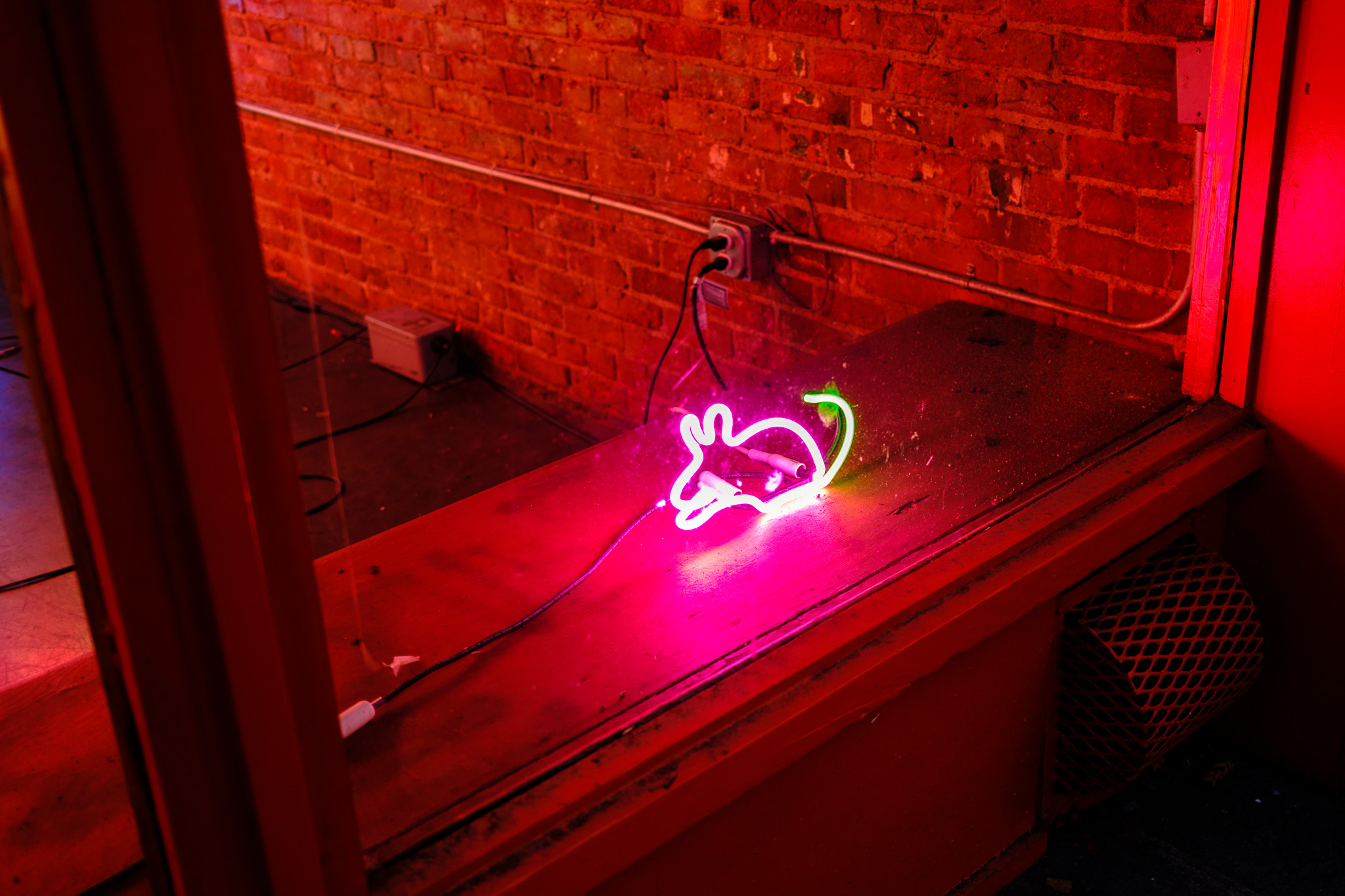 Neon Mouse in the Dark