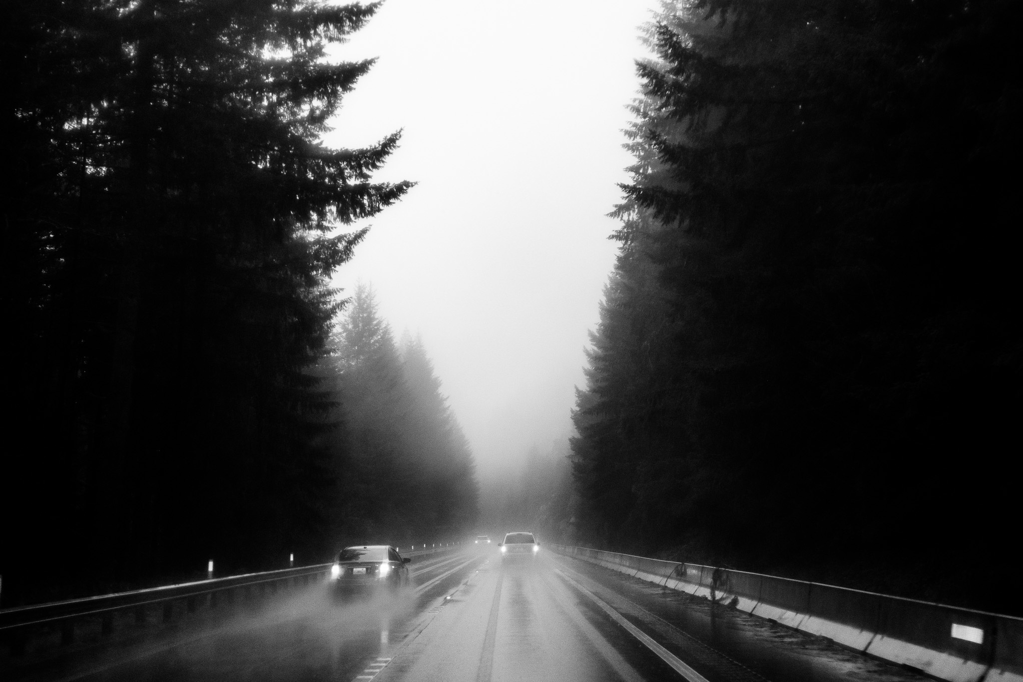 Sunlit Road in the Middle
