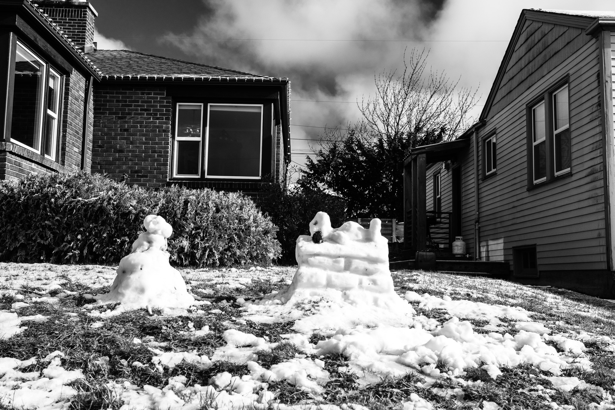 Fleeting Winter Joy