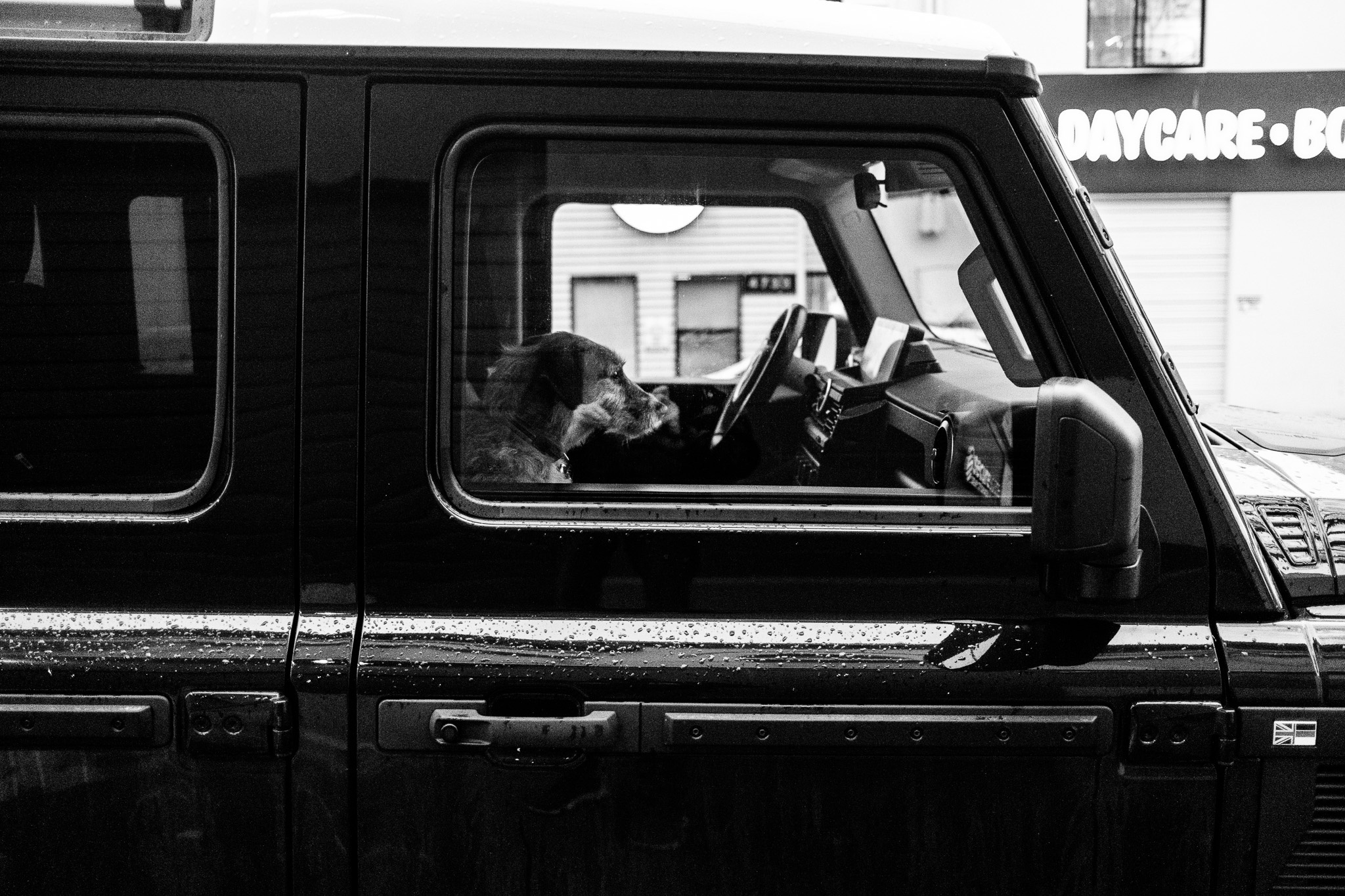 Urban Canine Driver