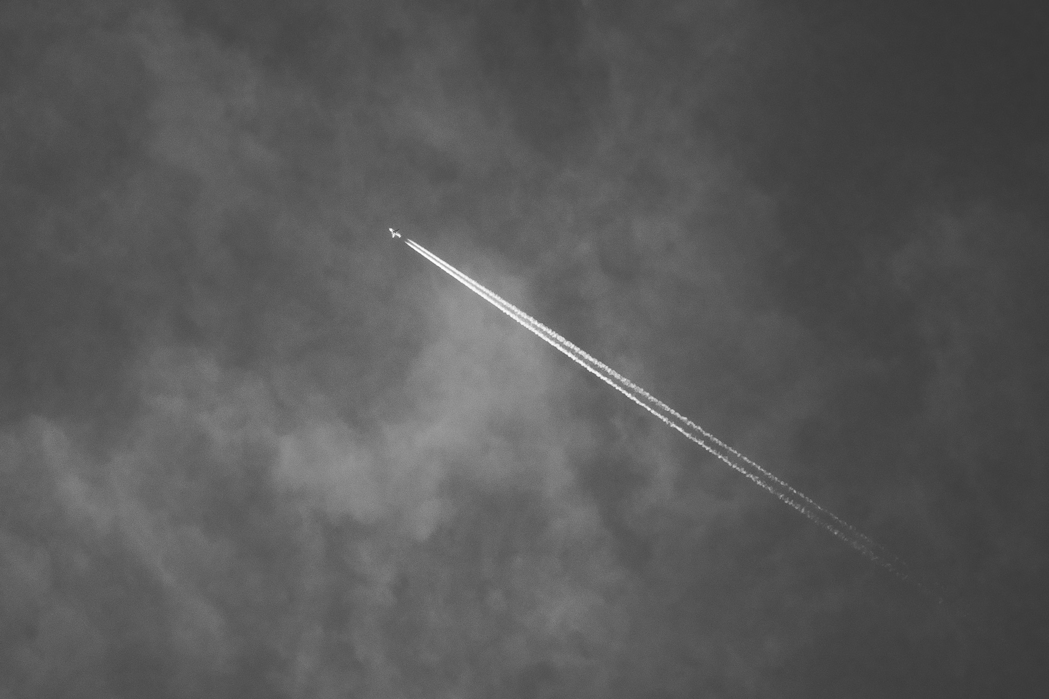 Contrasting Light and Shadow
