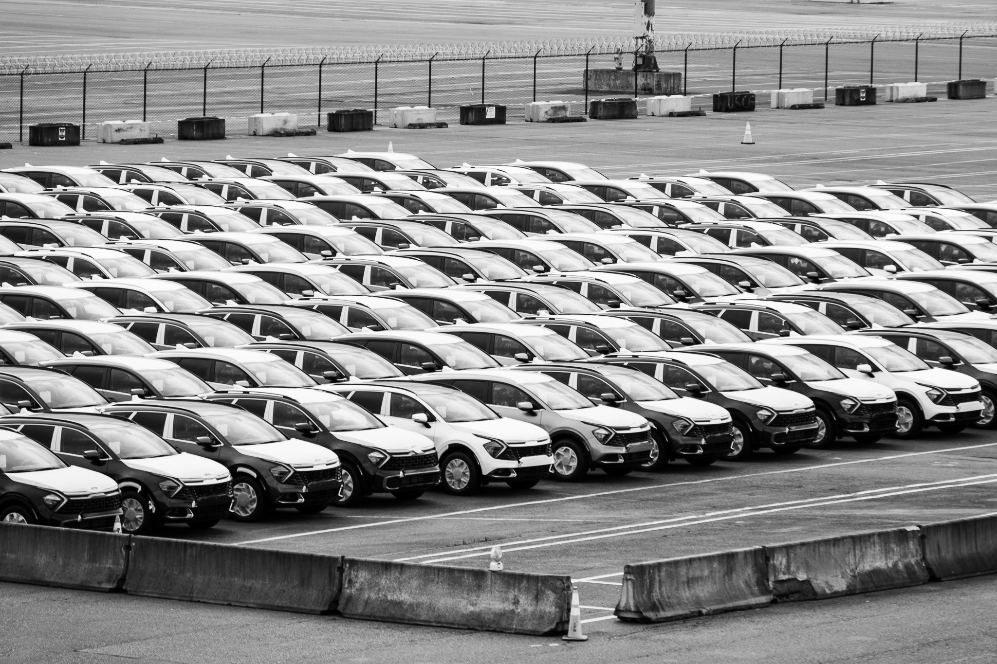 Row of Cars in Parking Lot