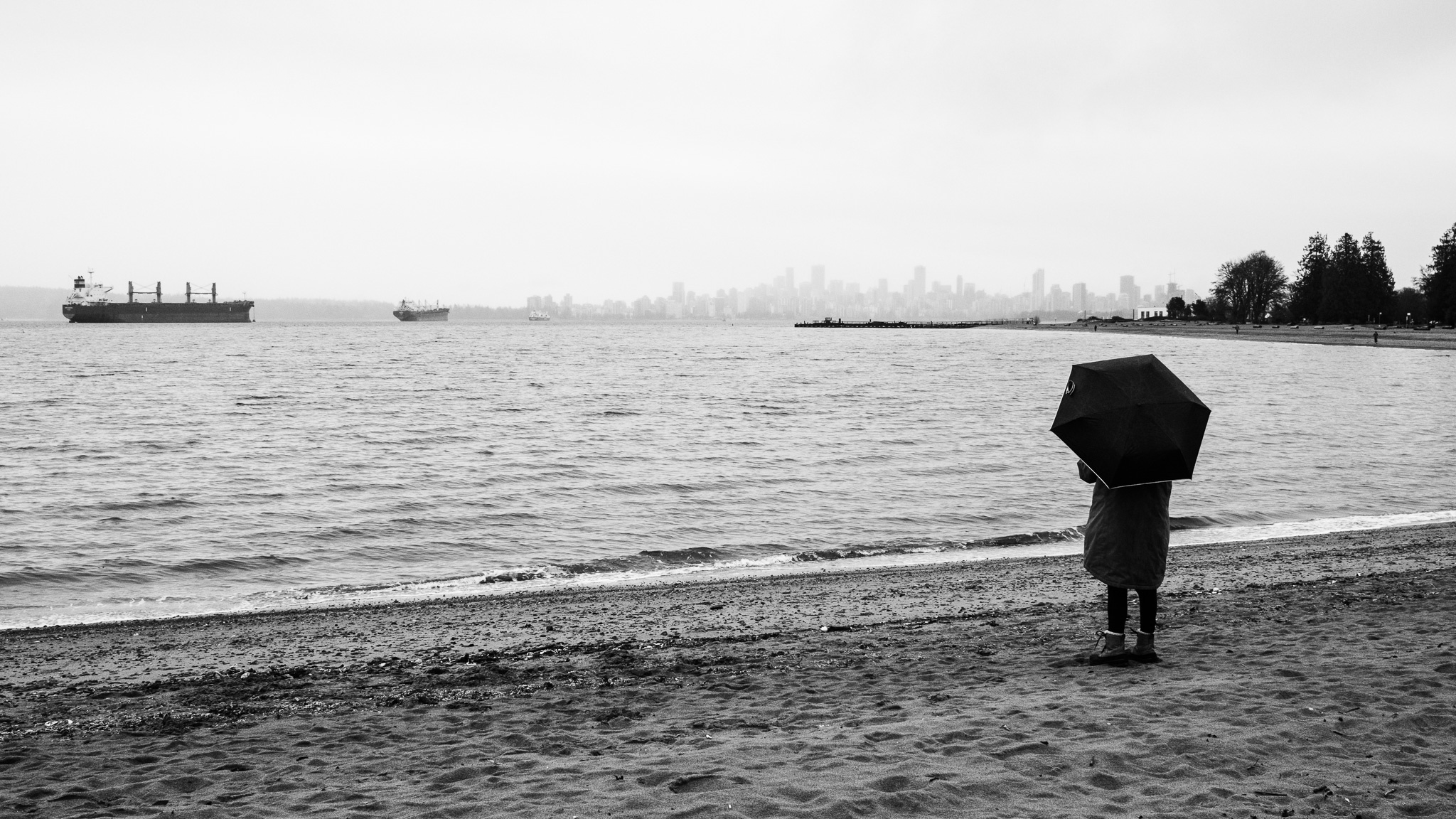 Solitude Under Gray Skies