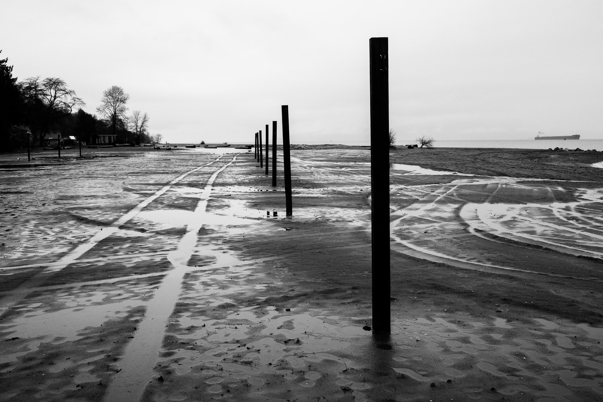 Solitary Shoreline Serenity