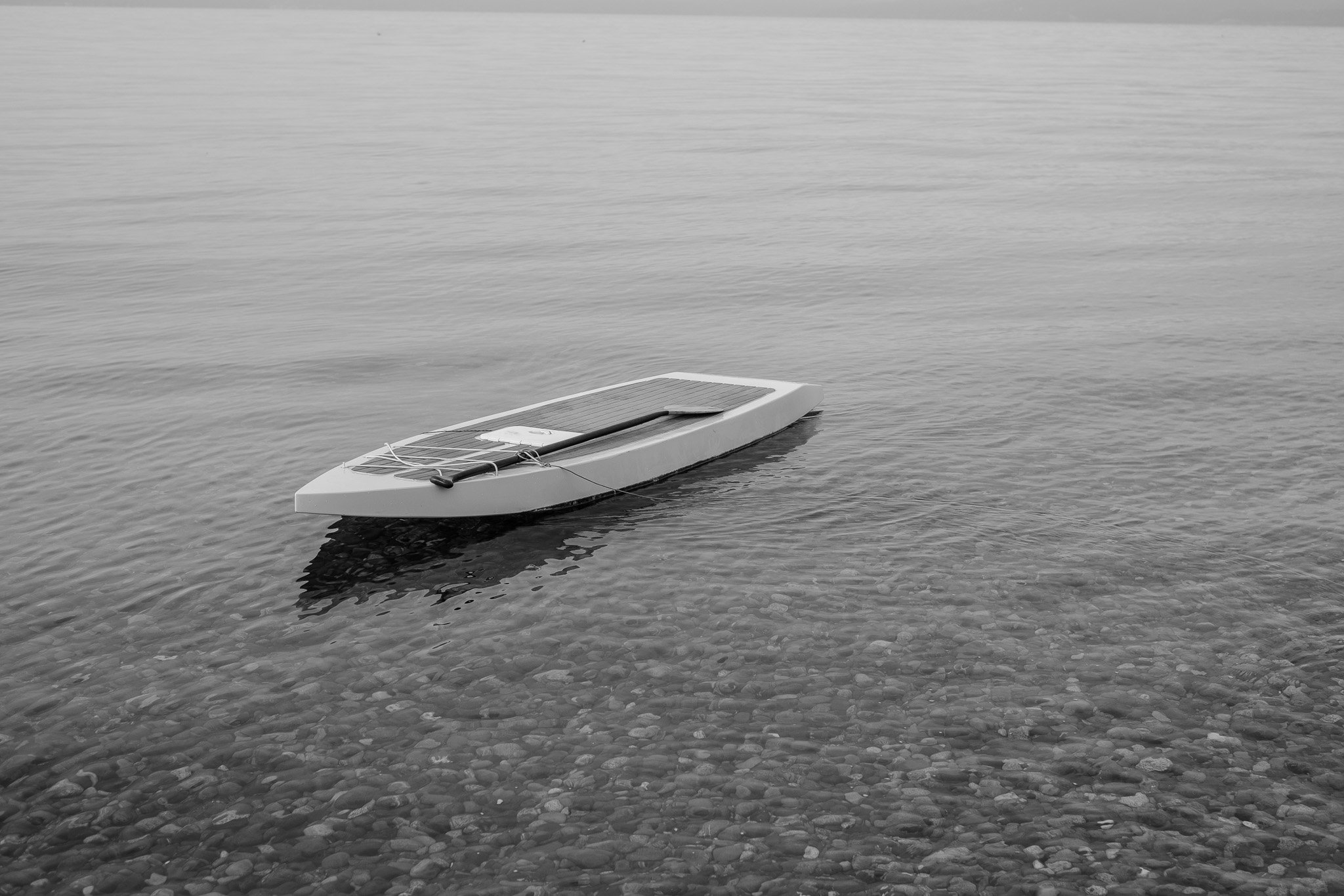 Serene Water Scene Unfolds