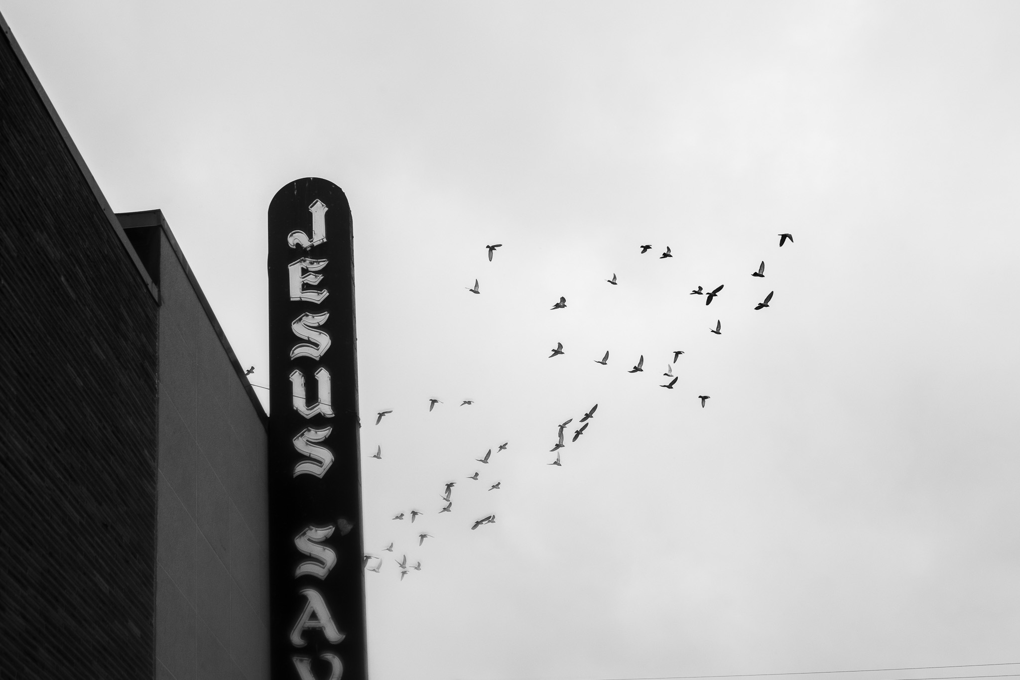 Jesus Saved Sign
