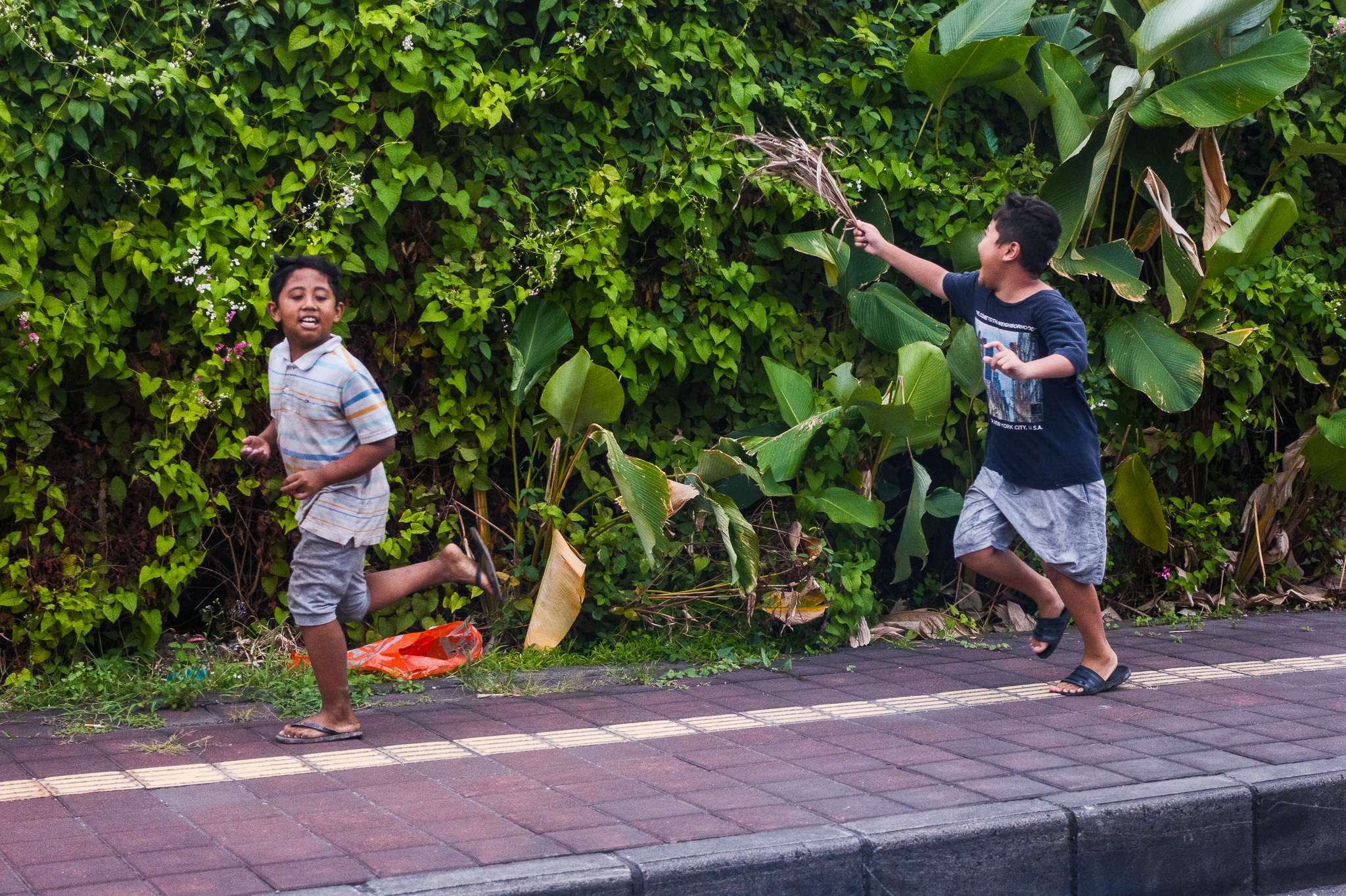 Joyful Play in Nature