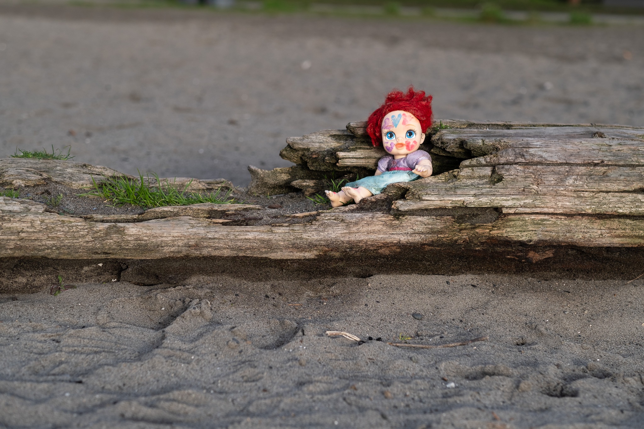 The image features a colorful doll with red curly hair and painted features, nestled in a hollowed-out section of a weathered log. The setting appears to be a sandy area, possibly a beach or park, with patches of grass peeking through the sand and log. The doll's playful expression contrasts with the rustic, natural elements surrounding it, creating a whimsical yet slightly eerie atmosphere.