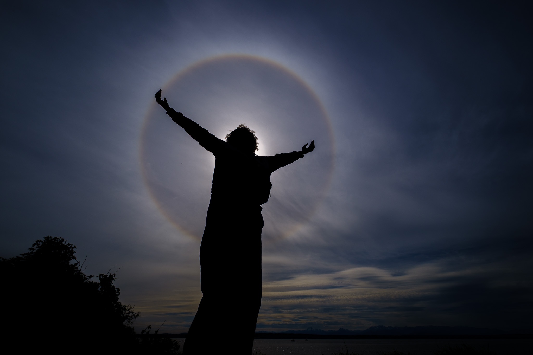 Golden Gardens Sun Halo