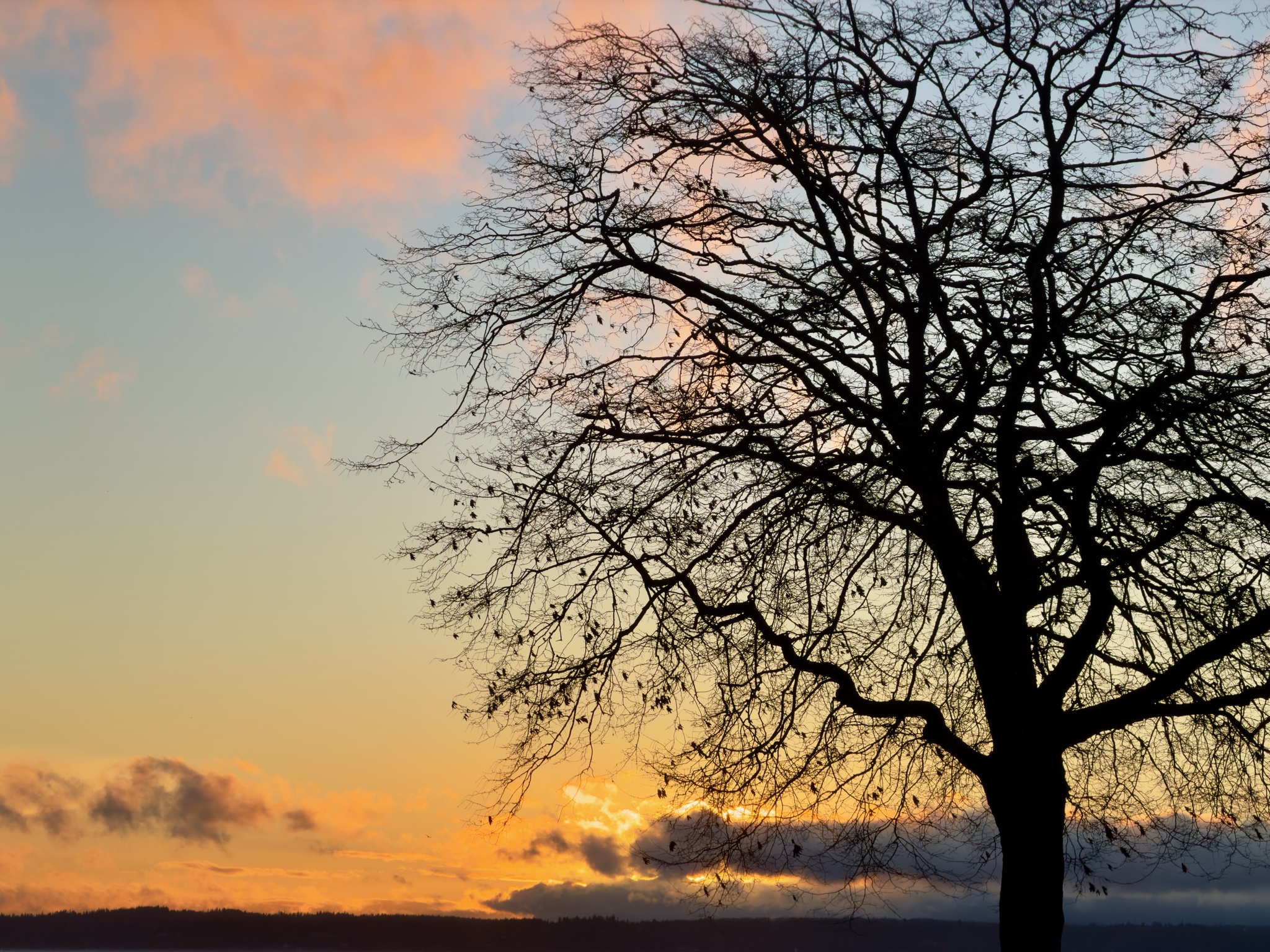 Twilight Serenity