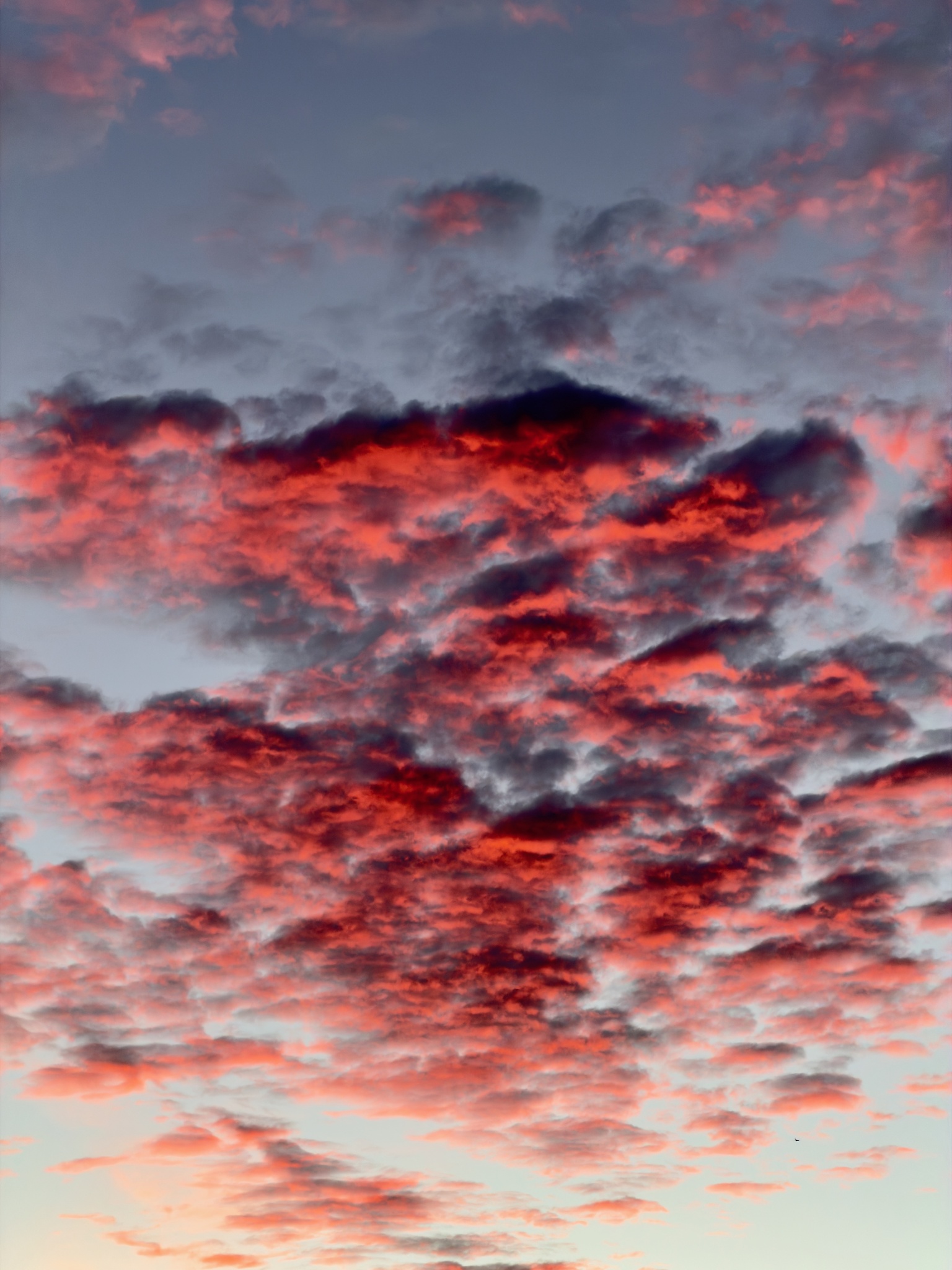 Sunset Serenity
