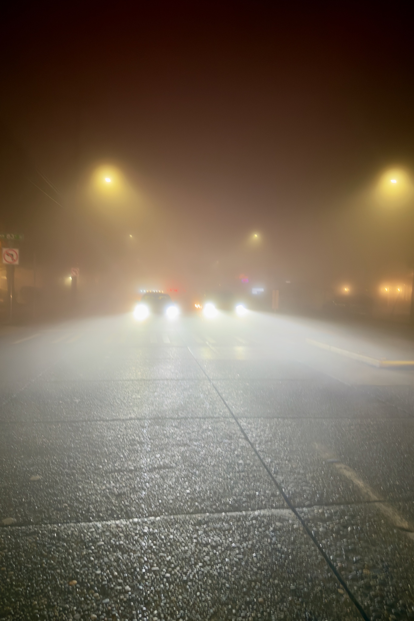 Foggy Night Drive