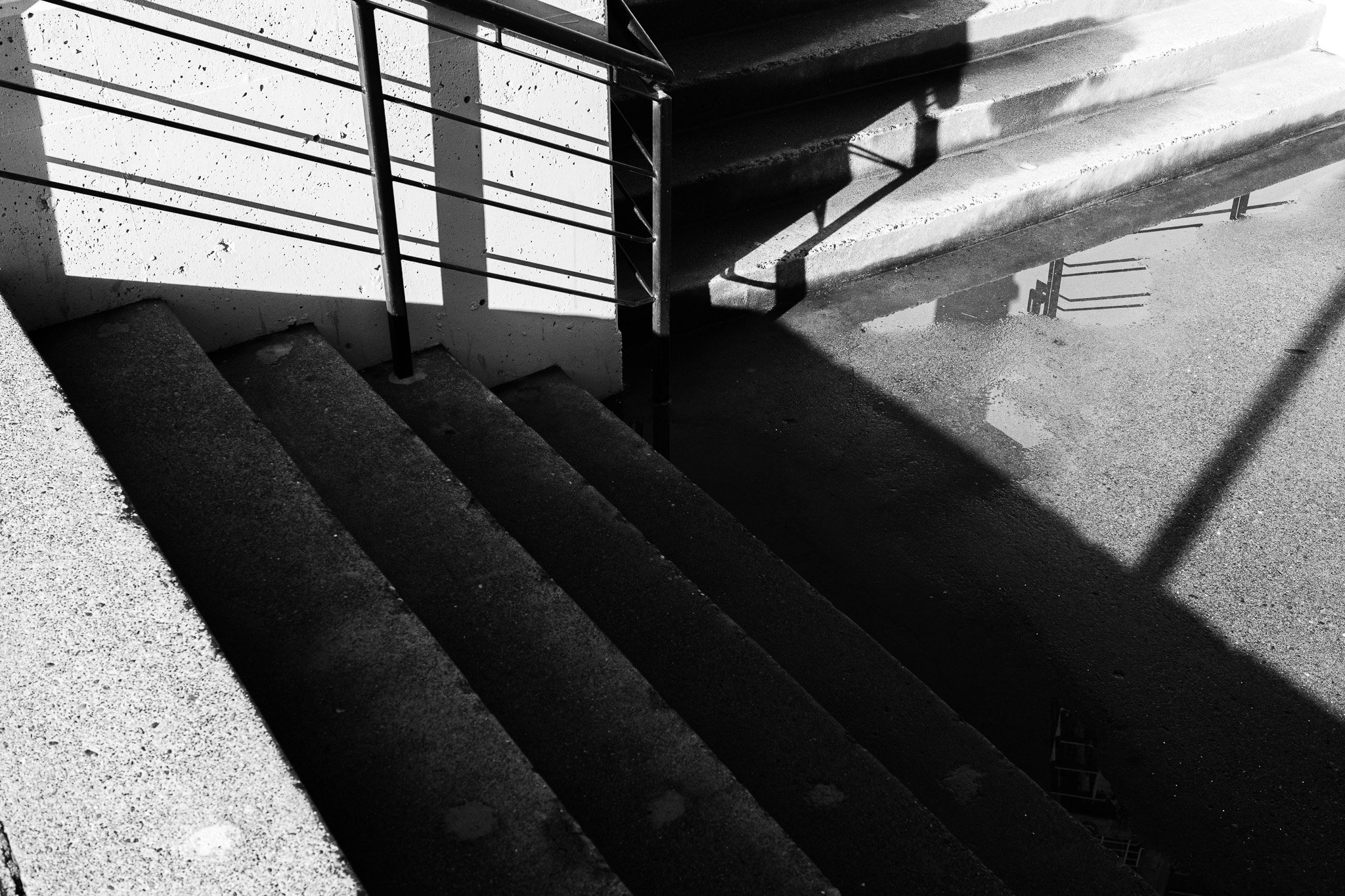 Step into the Shadows
