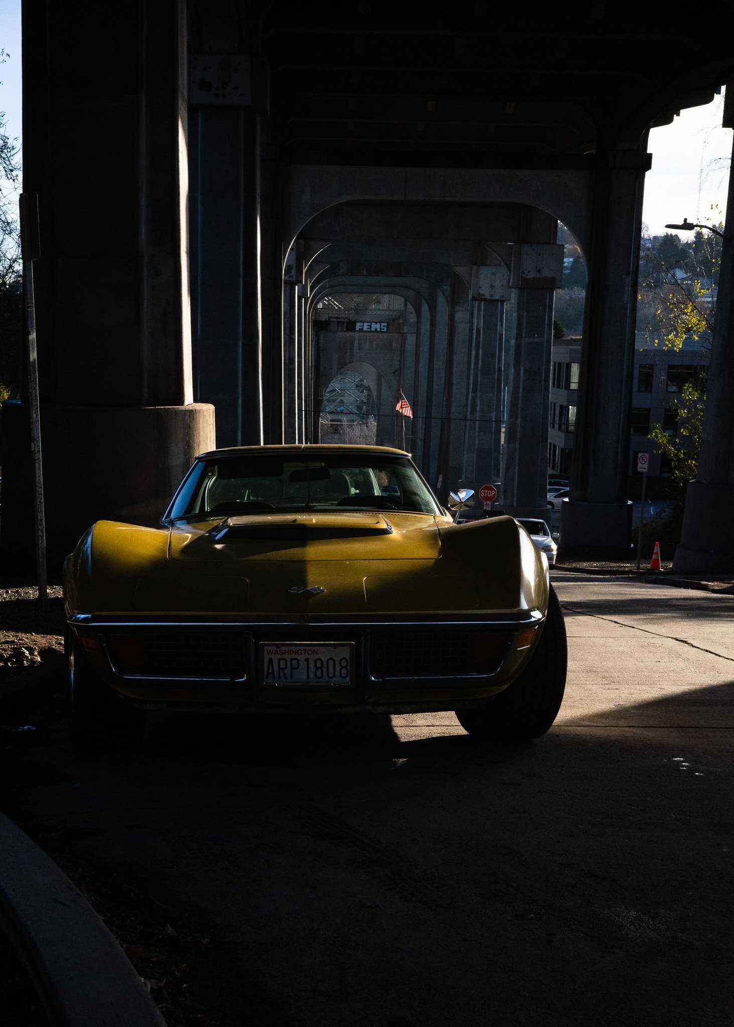 Abandoned Corvette Under the Overpass