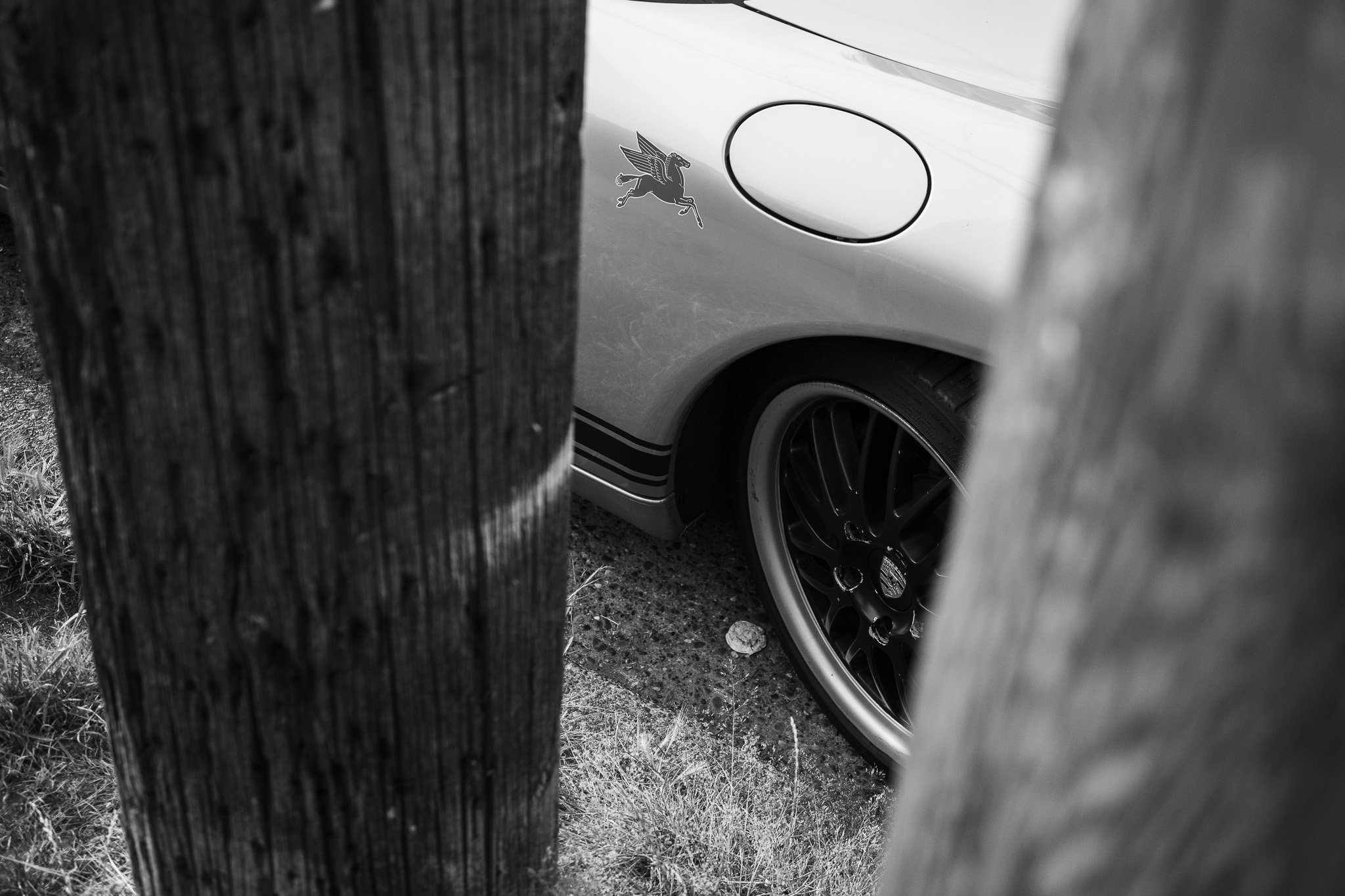 Silver Horse Car Portrait