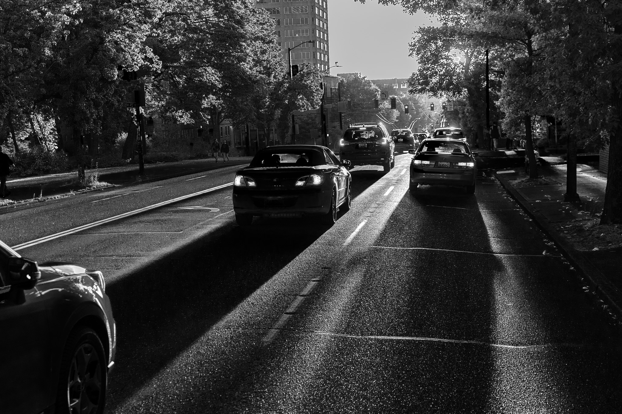 Sunlit Street Scene