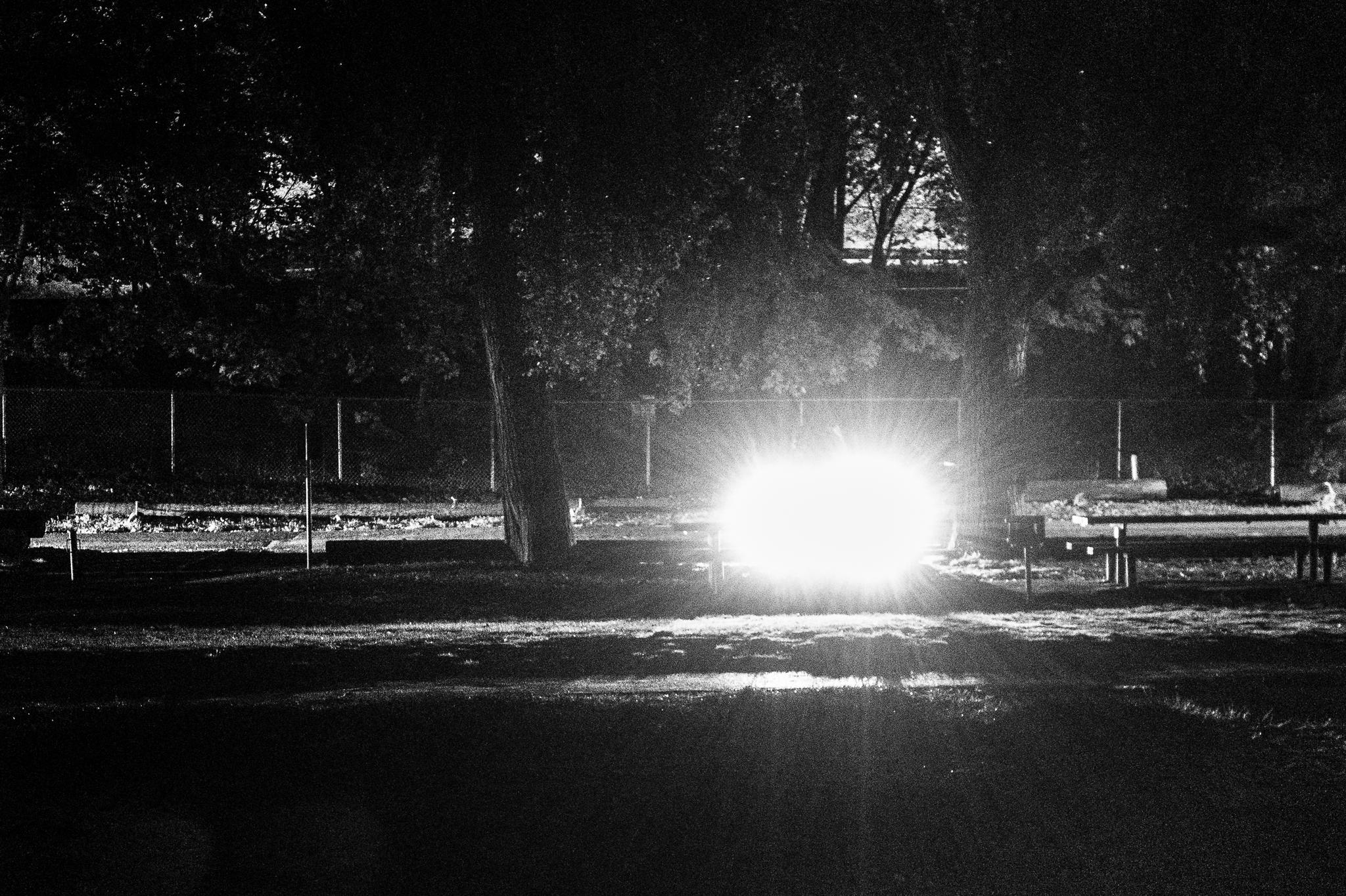 Blinded by the light