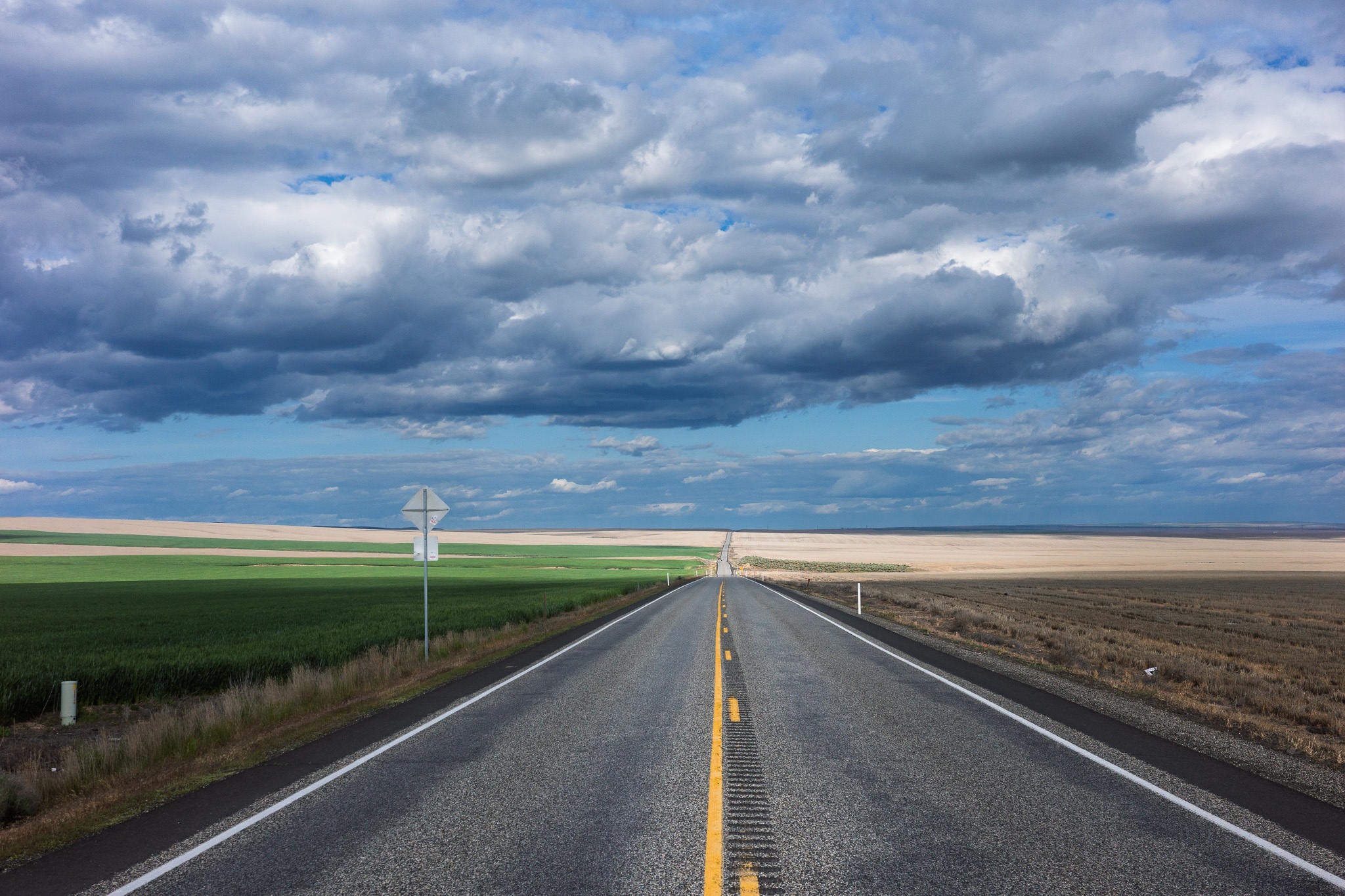 Road to Tranquil Horizons
