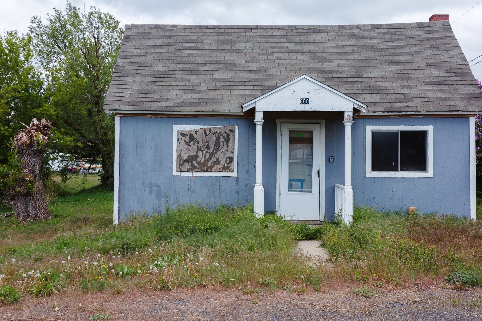 The image features a small, weathered blue house with a steeply pitched roof, situated in a grassy area overgrown with wildflowers and weeds. The front door, which is white, is flanked by two columns, while a window on the left is boarded up, suggesting neglect. A tree with a twisted trunk is visible to the left of the house, adding to the rustic charm of the setting. The cloudy sky above adds a moody ambiance to the scene, hinting at a possible