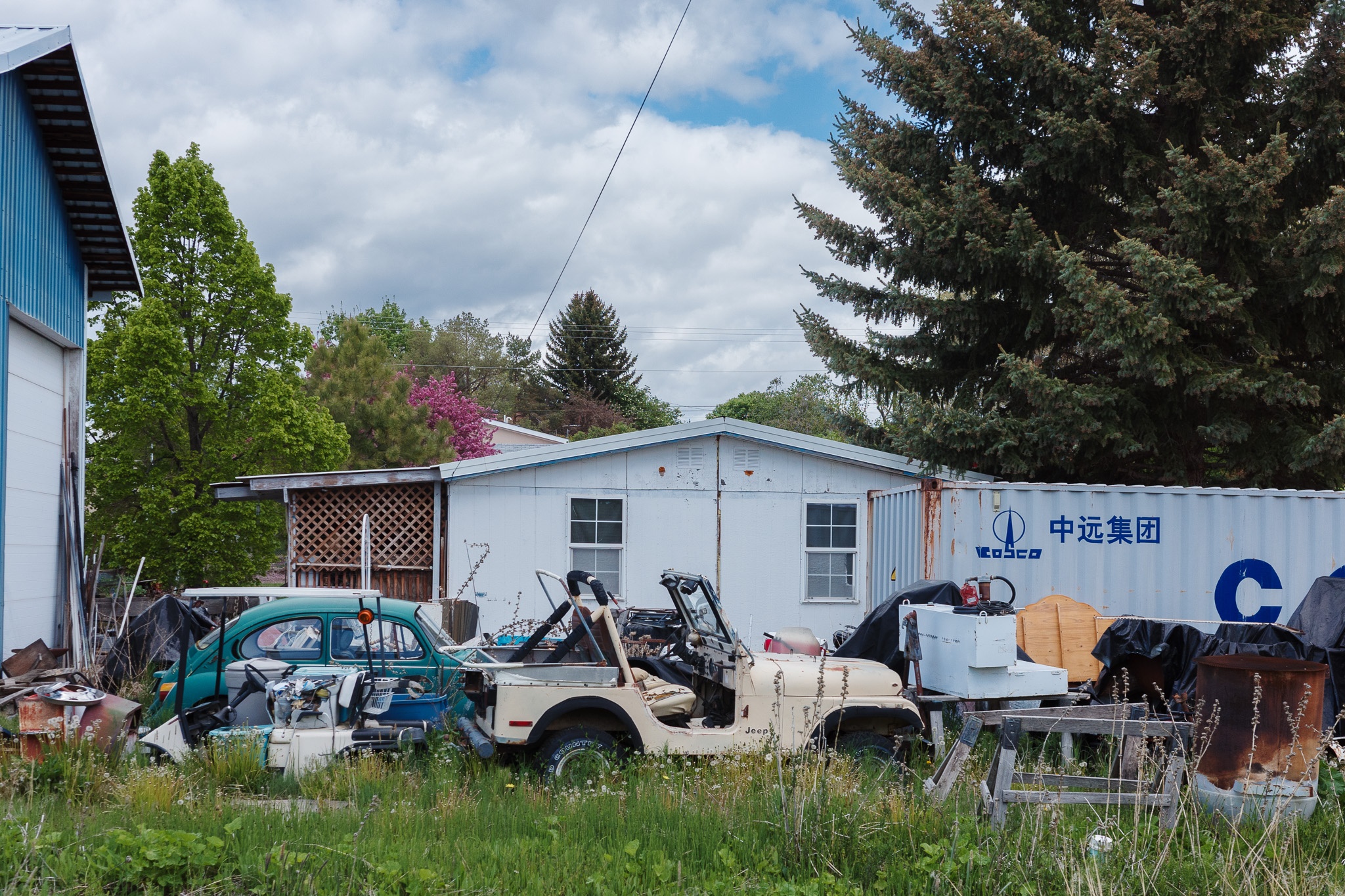 The image depicts a cluttered yard filled with various old vehicles, including a vintage Jeep and an unusual green car, amidst a backdrop of dilapidated buildings and a shipping container. The setting features lush greenery and vibrant pink trees, contrasting with the weathered structures and scattered debris. Overhead, the sky is partly cloudy, suggesting a typical day in a rural or semi-urban environment, while the tall trees provide a sense of depth and natural beauty to the scene.