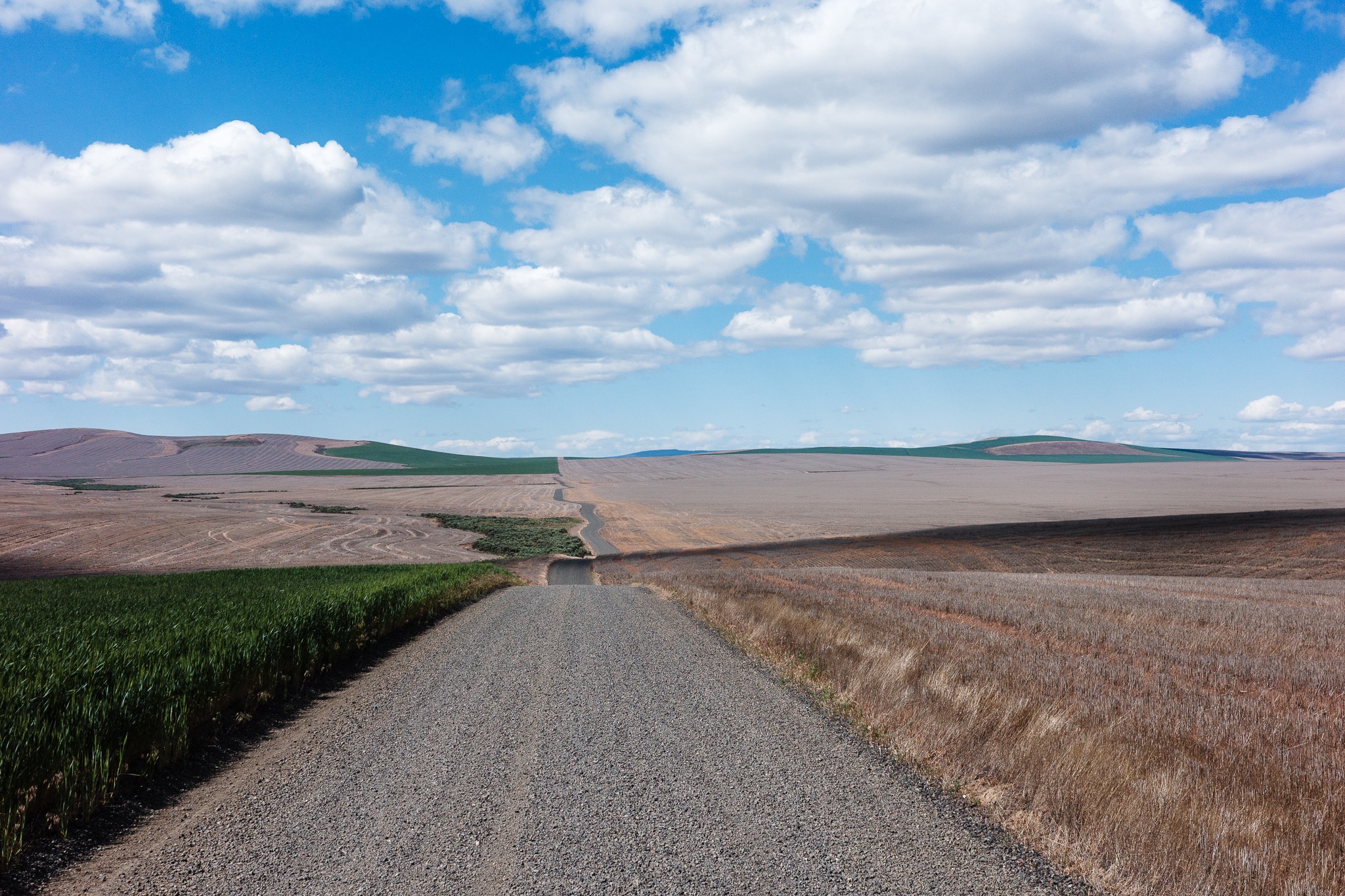 The image depicts a serene rural landscape featuring a gravel road that stretches toward the horizon, flanked by fields of varying colors and textures. On the left, lush green crops contrast with the golden and brown tones of the harvested land on the right. The sky is bright blue with scattered fluffy clouds, adding depth to the scene. The gentle slopes of the landscape create a sense of openness, inviting the viewer's eye to travel along the road into the distance.