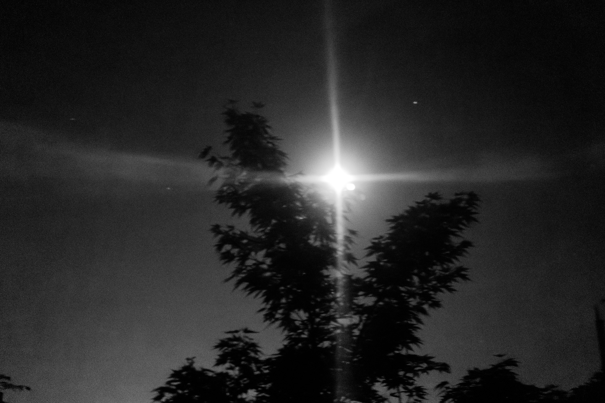 Moonlit Serenity