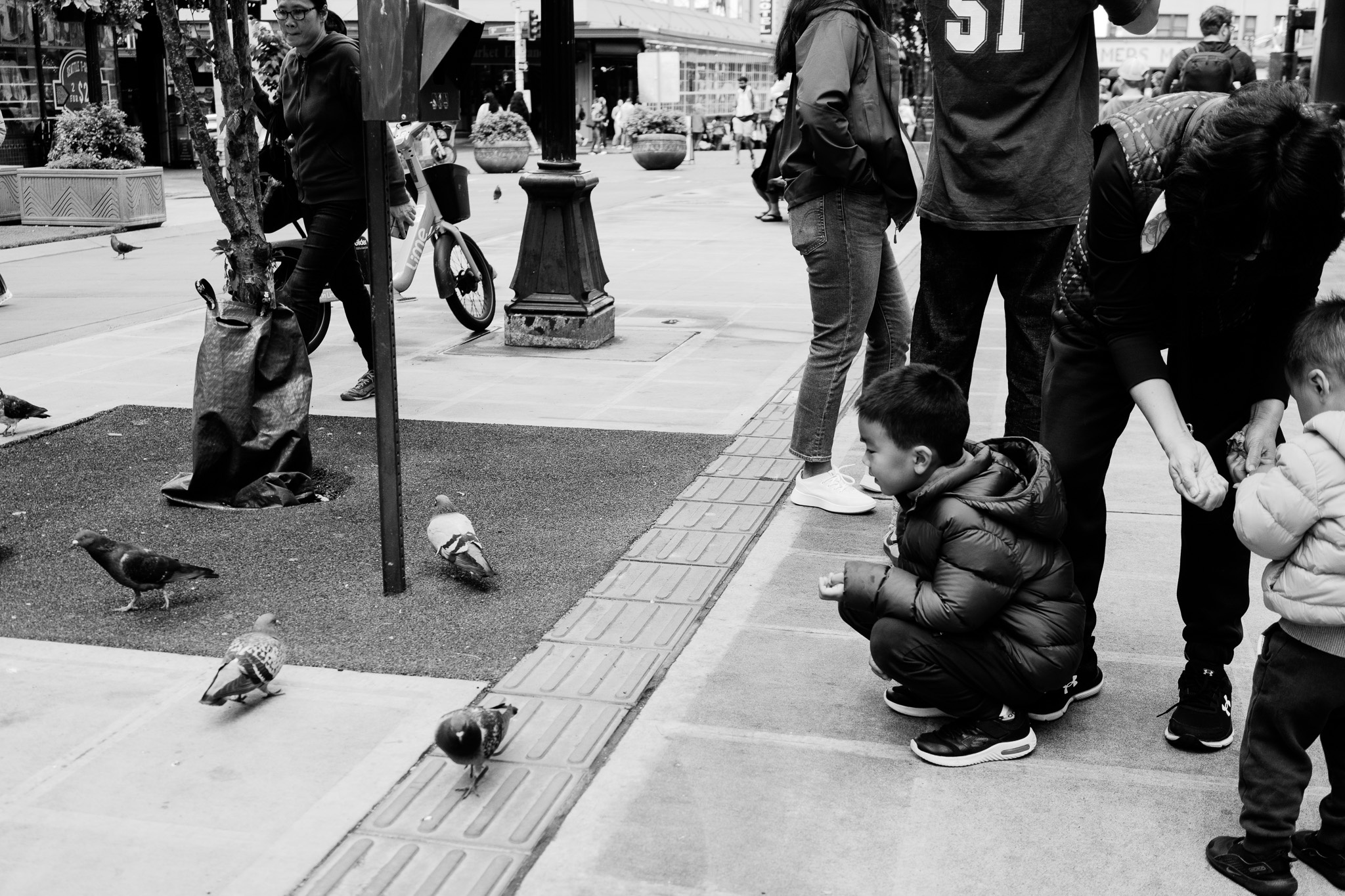 City Life in Focus