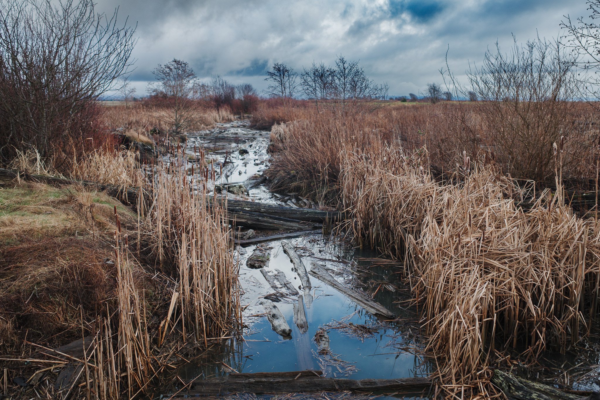 Muddy Creek in Winter Landscape