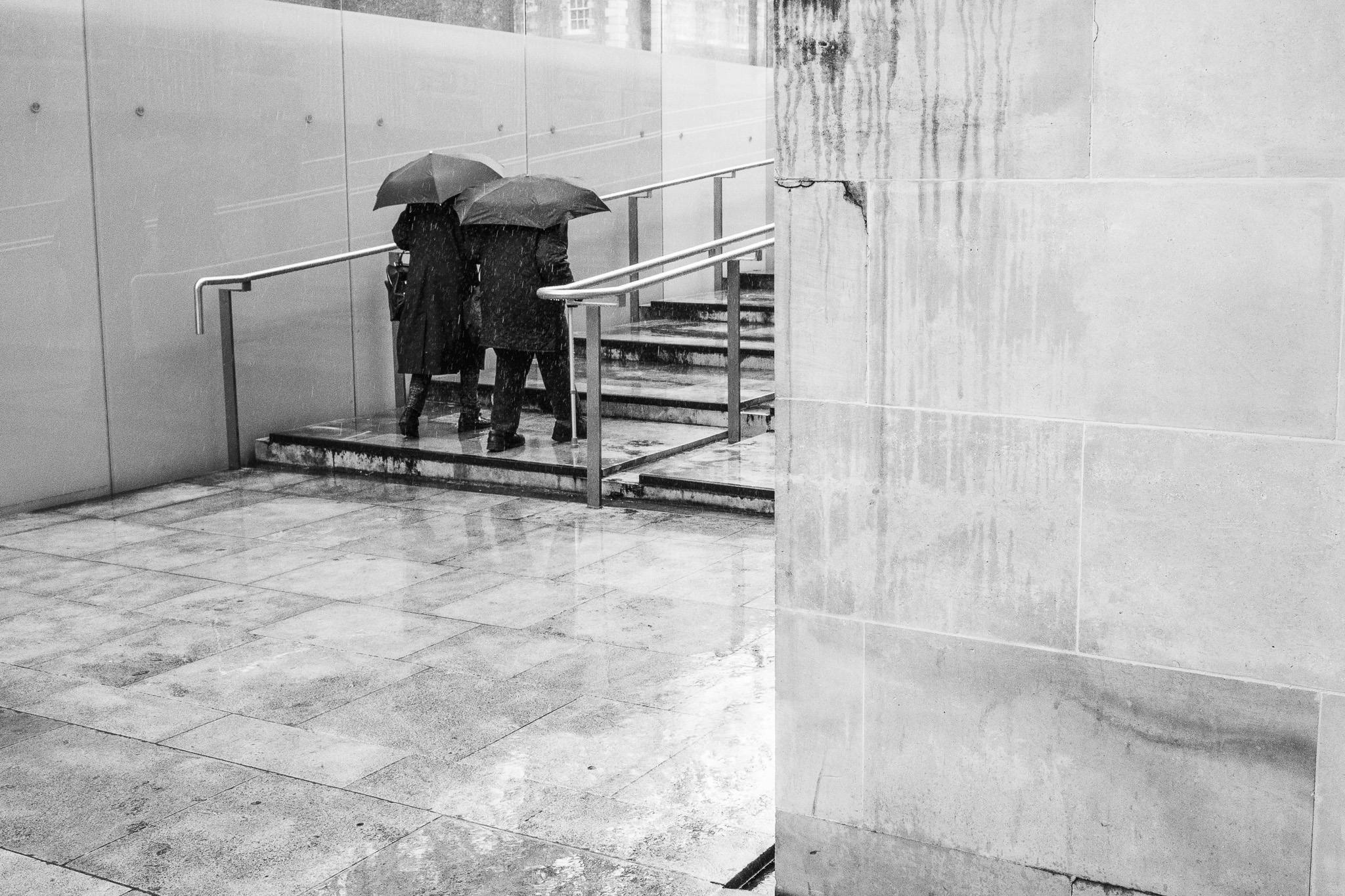 Rainy Day Stairway Encounter