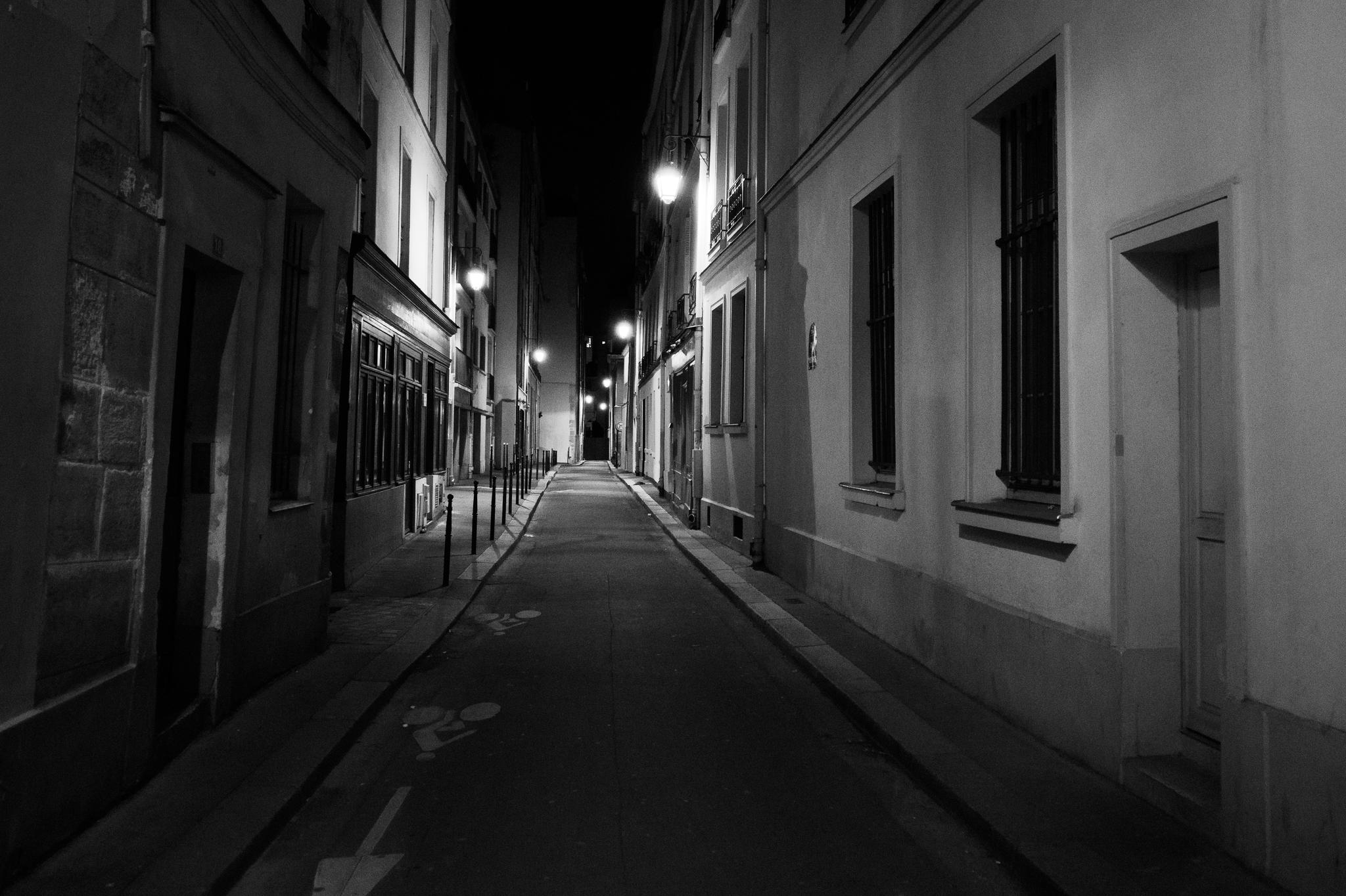 Parisian Nighttime Cityscape Serenity