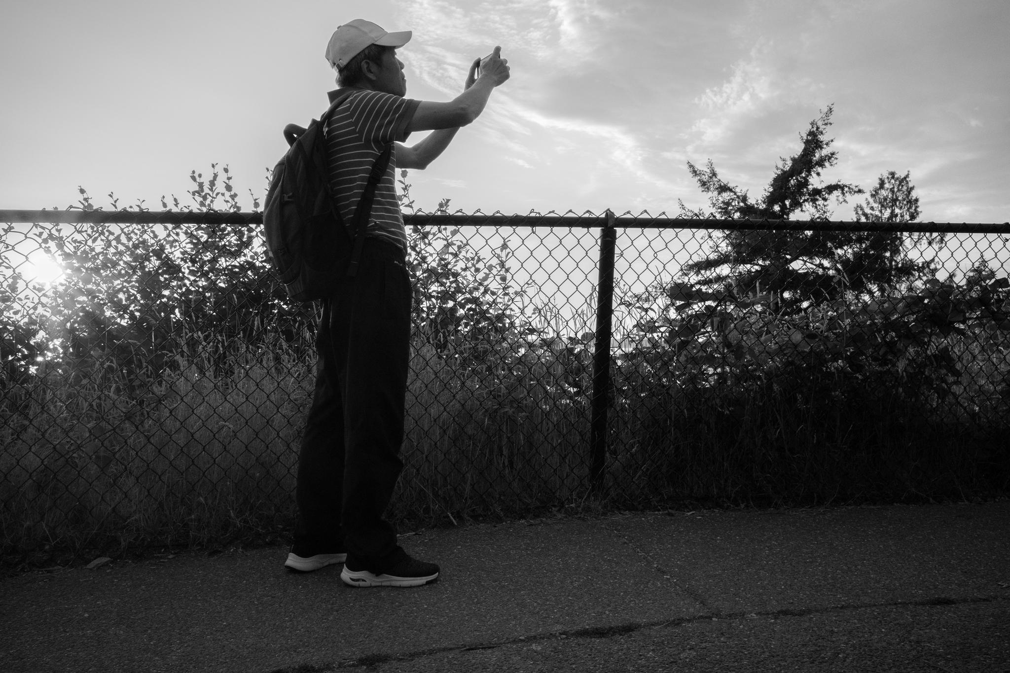 Lost in the Wilderness