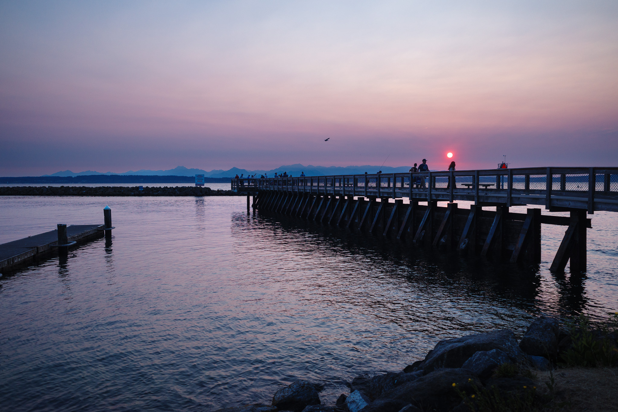 Peaceful Coastal Morning Scene