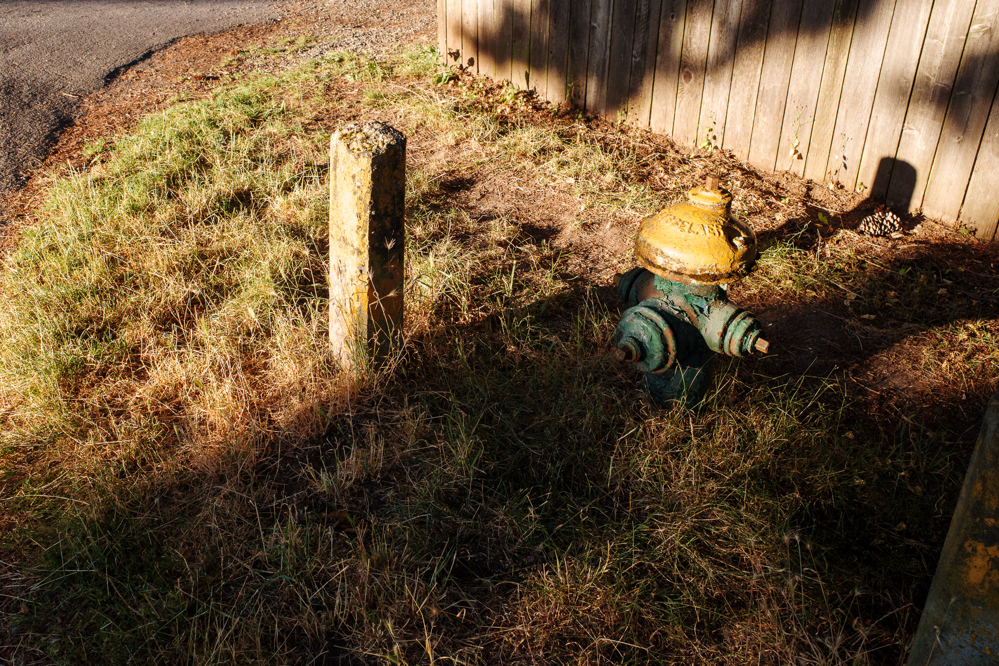 Light hydrant