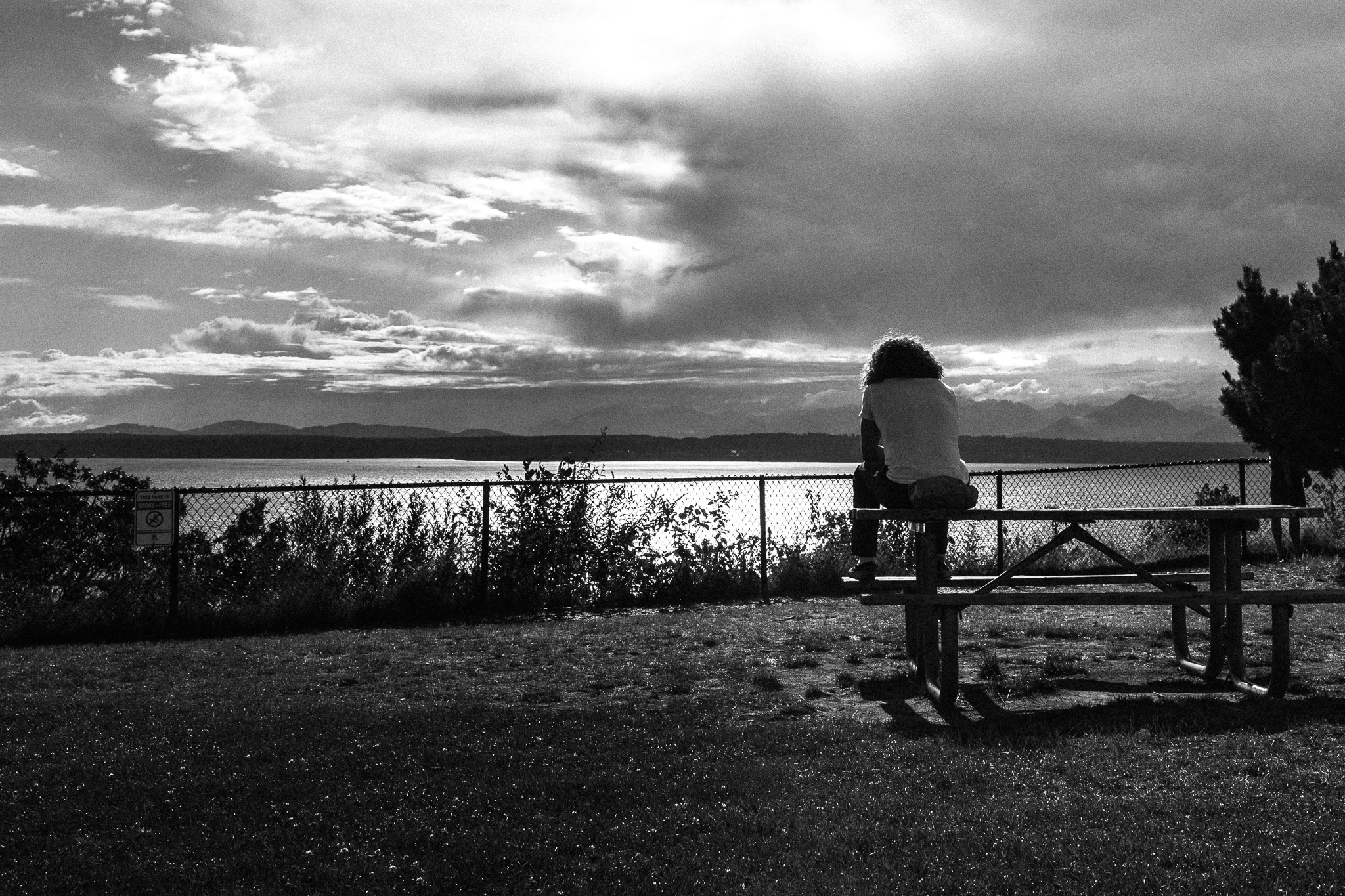 Serene Moment of Solitude