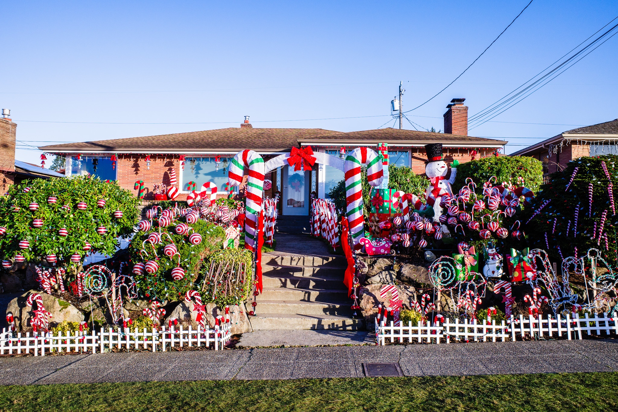 Whimsical Holiday Wonderland