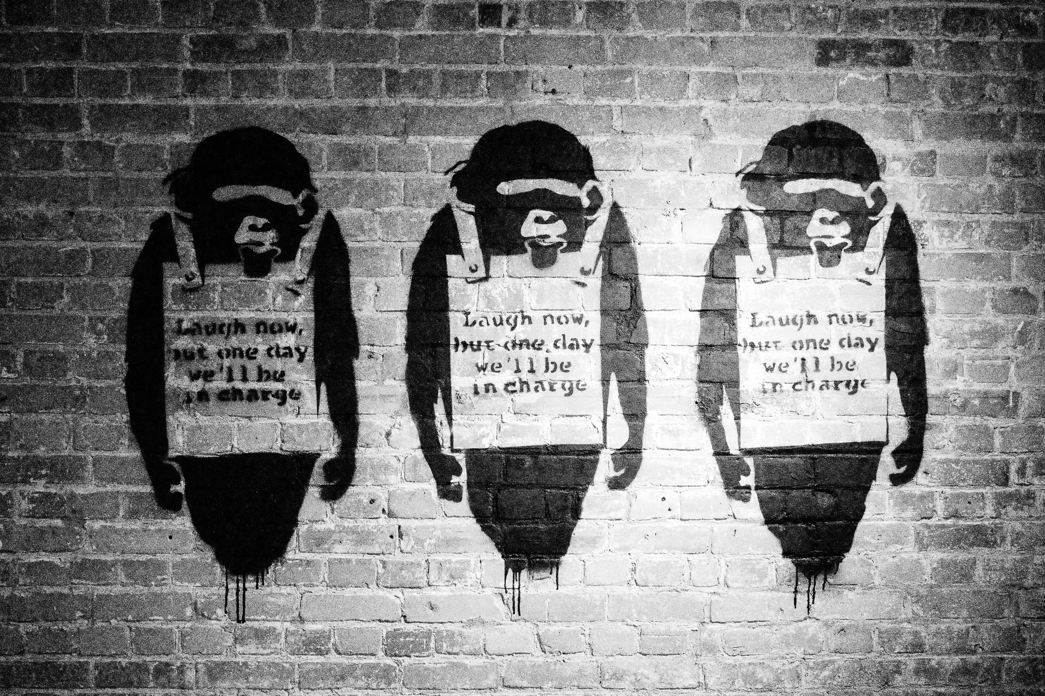 The image features three large, monochromatic graffiti figures of monkeys painted on a brick wall, each donning a sign that reads, "Laugh now, but one day we'll be in charge." The figures are depicted in a stylized manner, with a focus on their expressive faces and postures, creating a striking visual impact. The setting conveys an urban environment, characterized by the rough texture of the brick, which contrasts with the smoothness of the painted figures. The overall tone is thought-provoking, blending